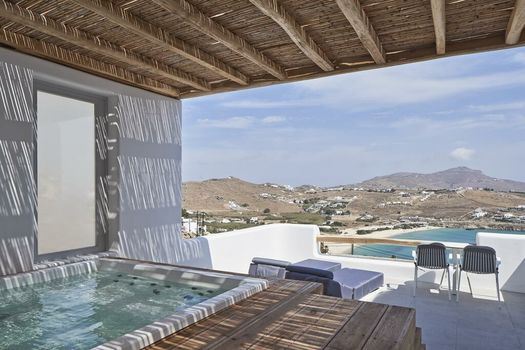 Mykonos Euphoria