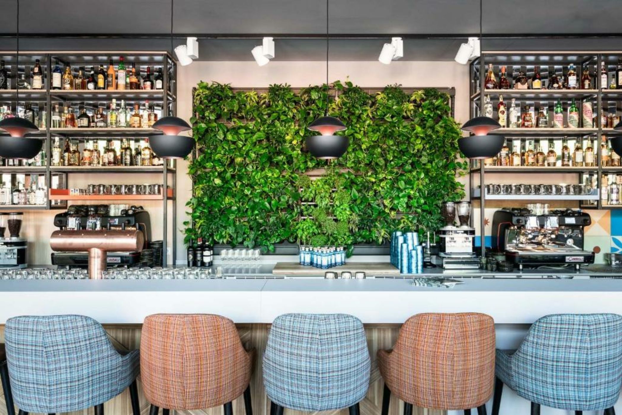 FREIgeist Göttingen