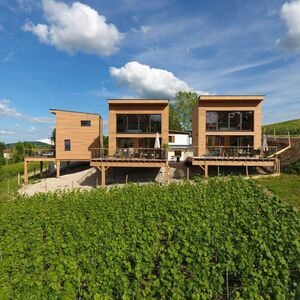 COTTAGES ANTOINETTE, Chigny-les-Roses, France - My Boutique hotel