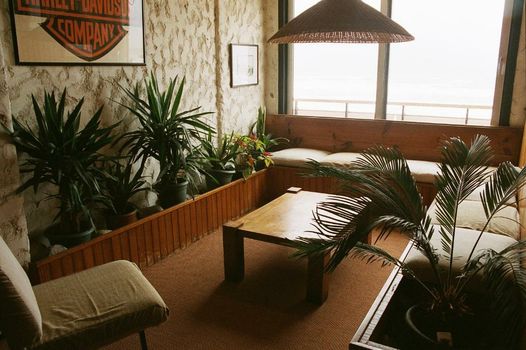 Carlina Lodge