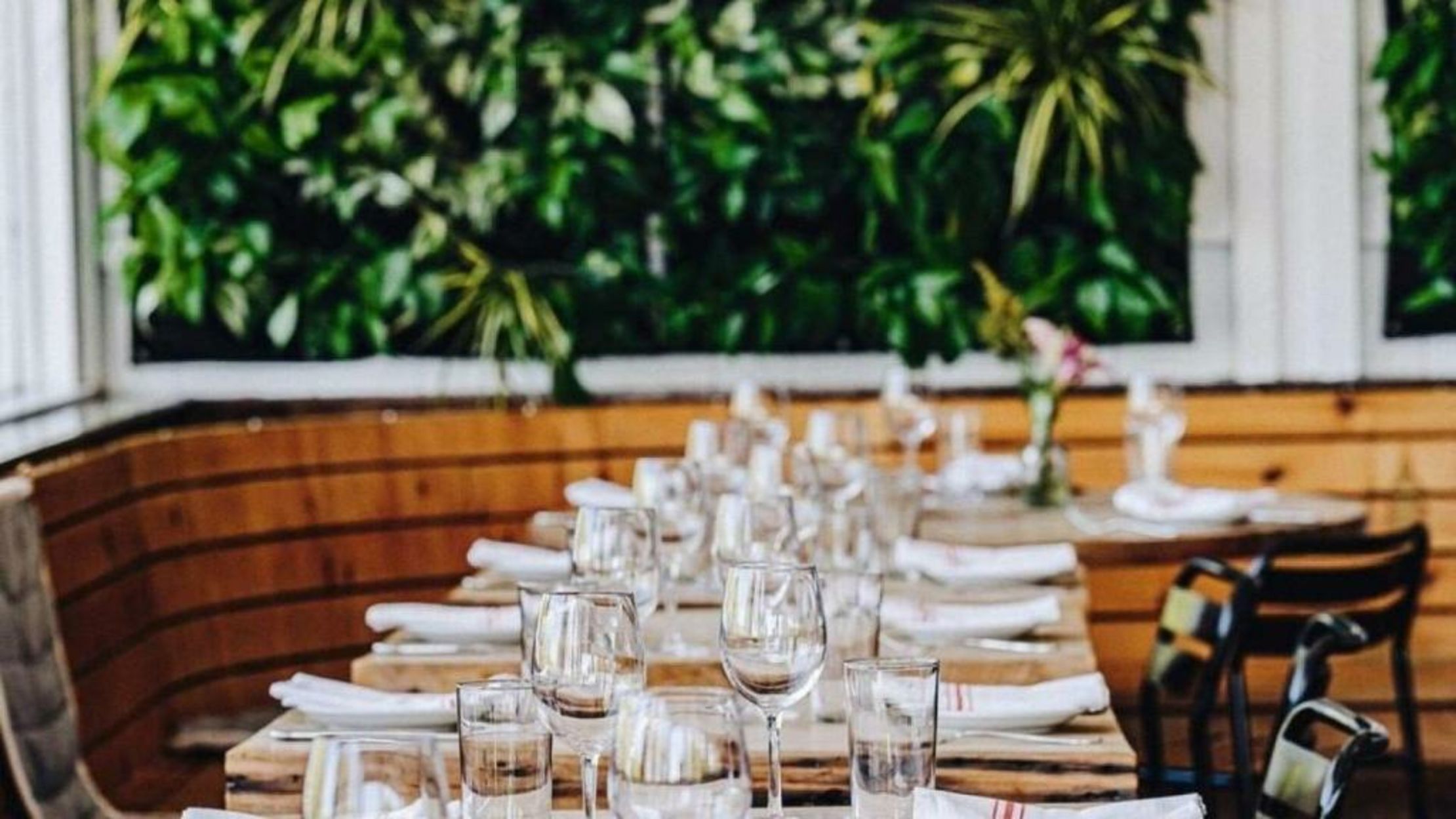 Ruschmeyers #13 - Suite