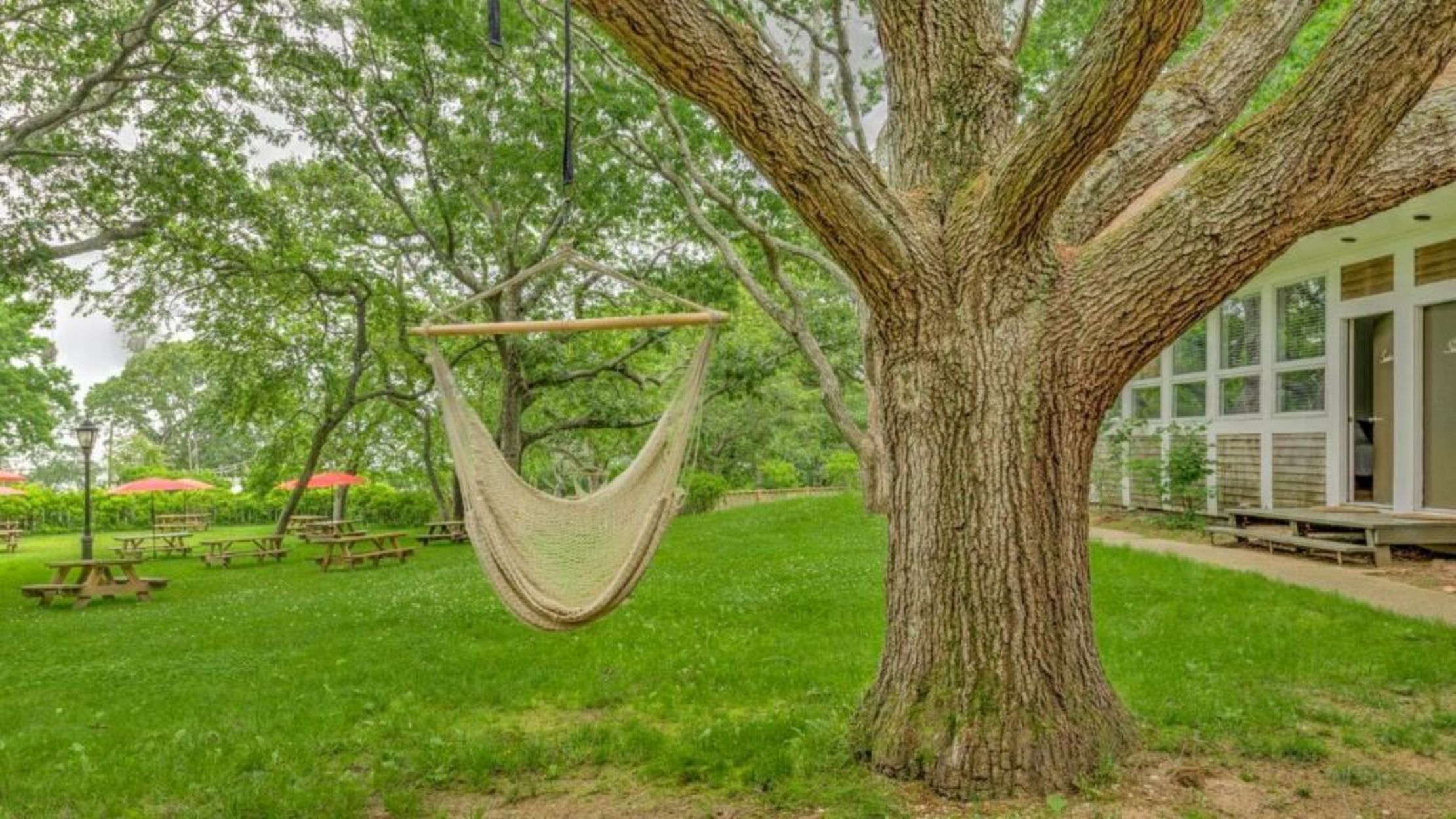 Ruschmeyers #13 - Suite