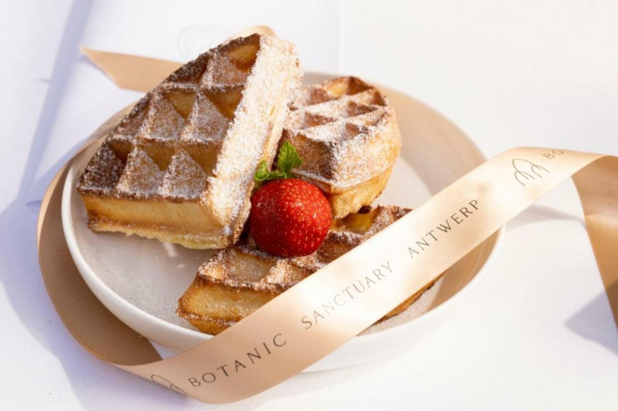 Botanic Sanctuary Antwerp