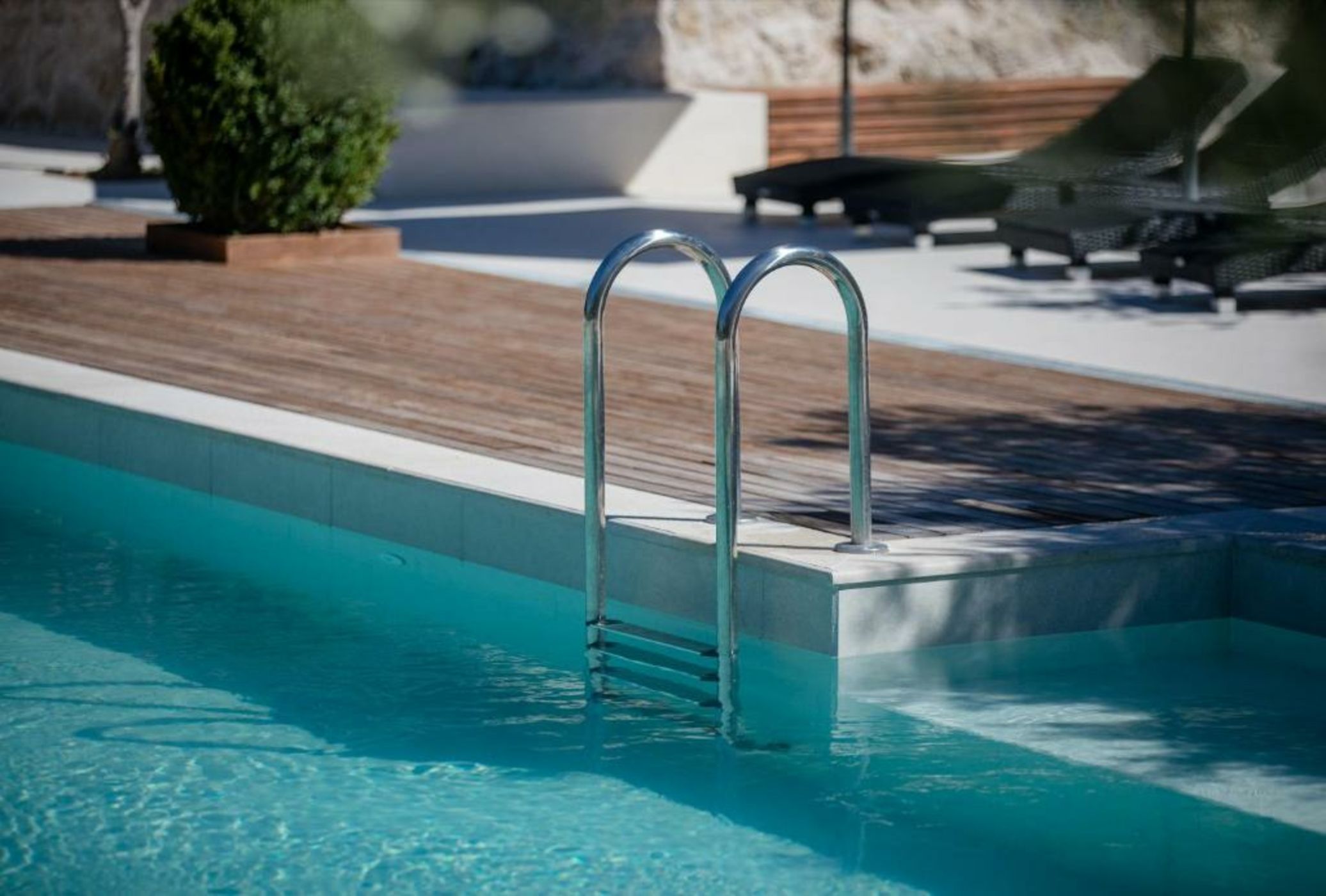 Luxury Suites Bellevue