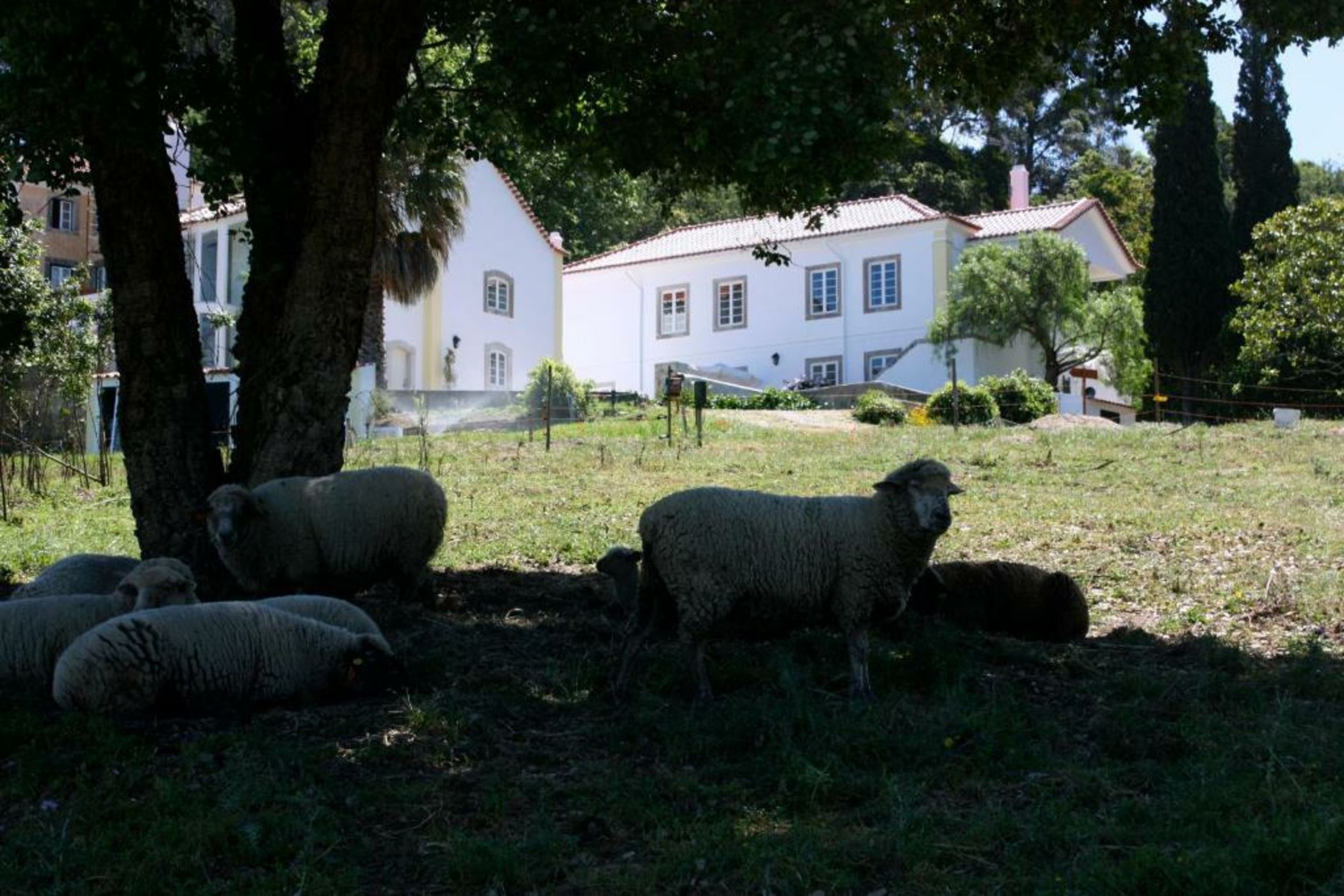 Eugaria Country House by Lost Lisbon