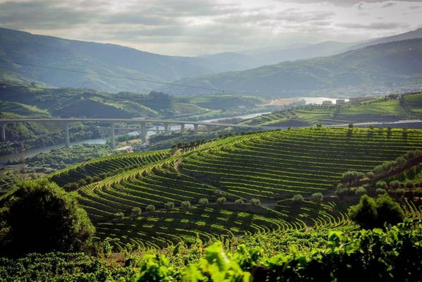 Quinta do Vallado - Douro Wine Hotel
