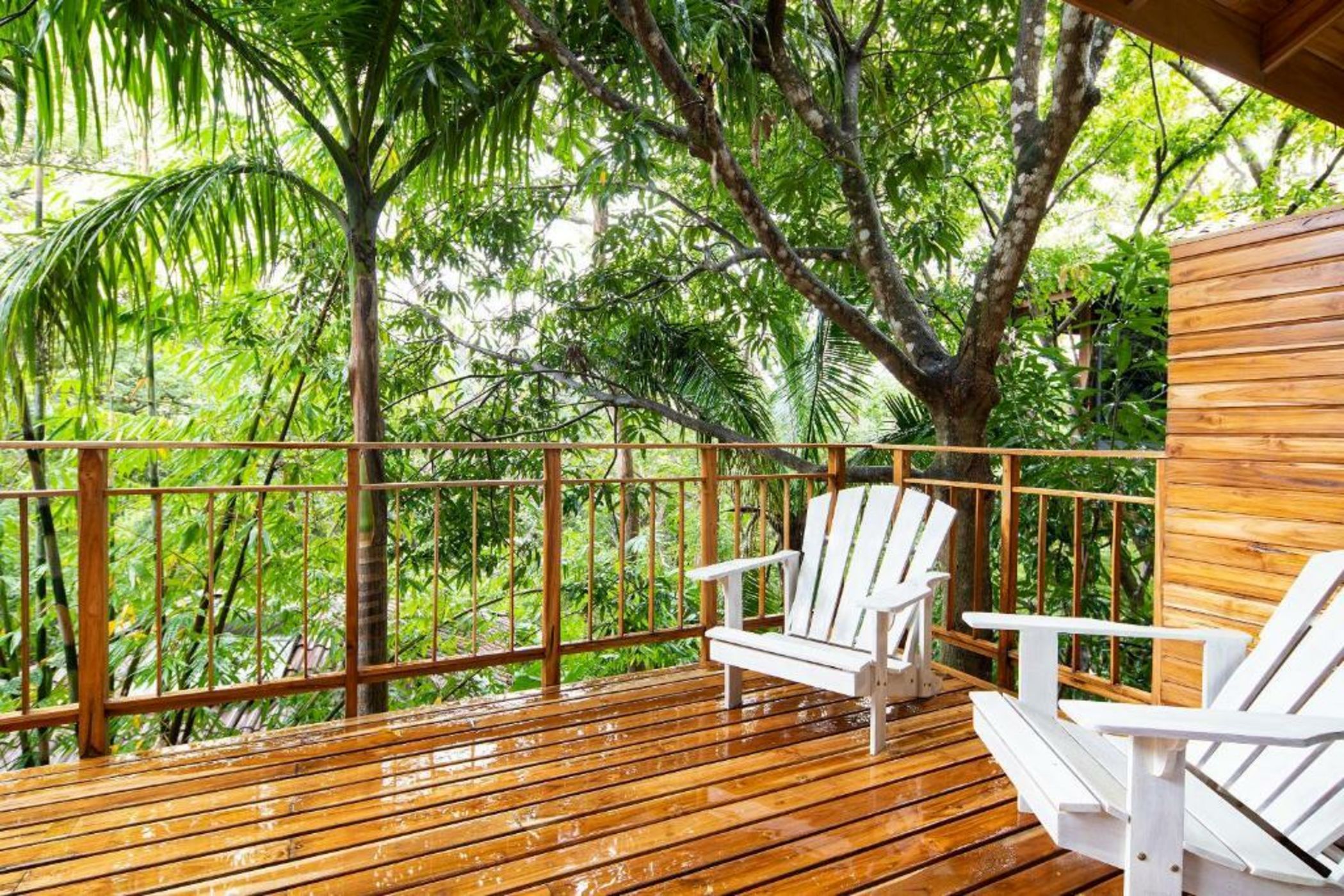 Bodhi Tree Yoga Resort