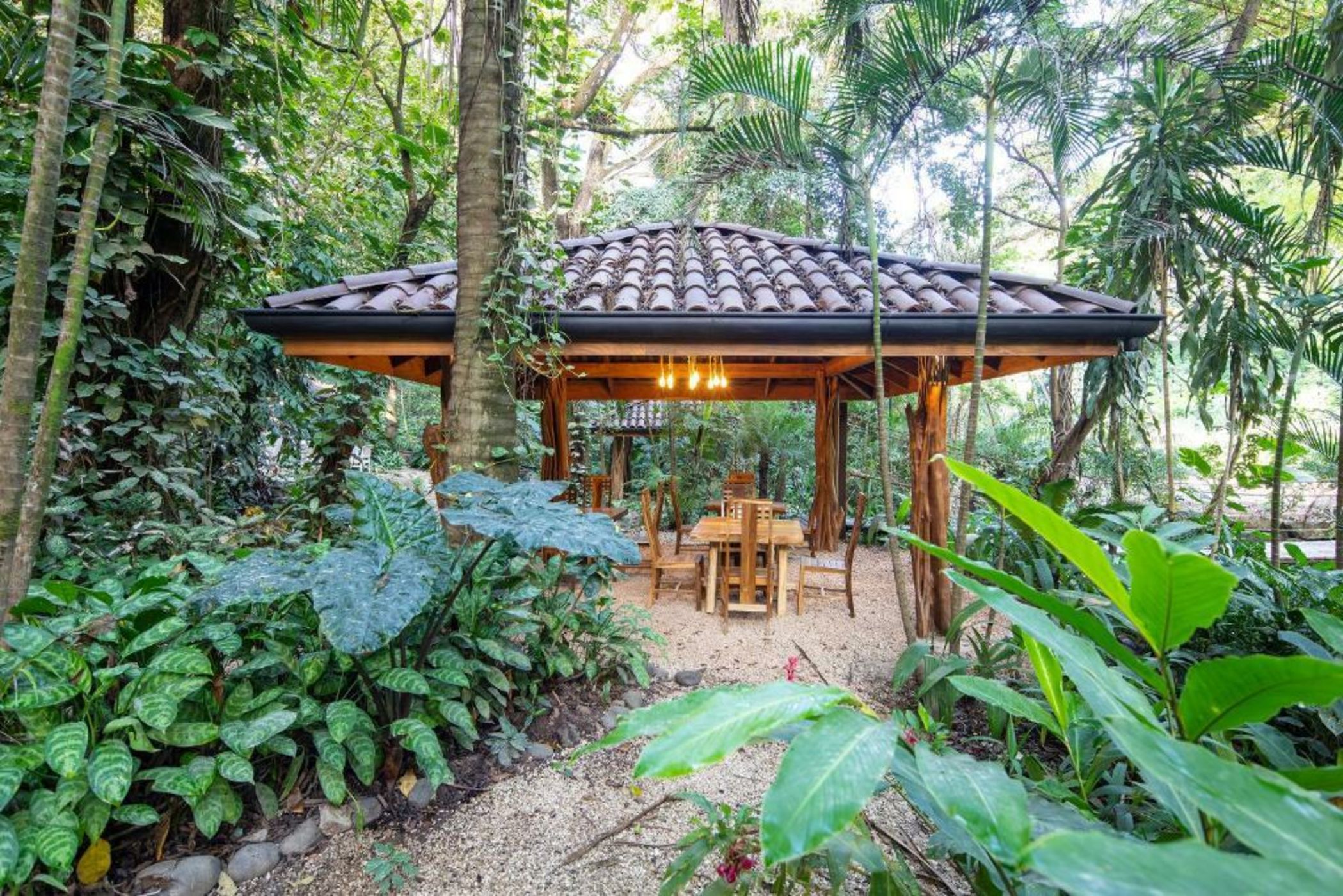 Bodhi Tree Yoga Resort