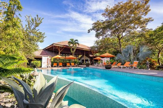 Bodhi Tree Yoga Resort