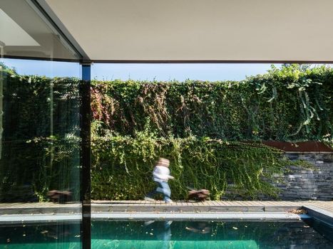 Casa Sull'Albero