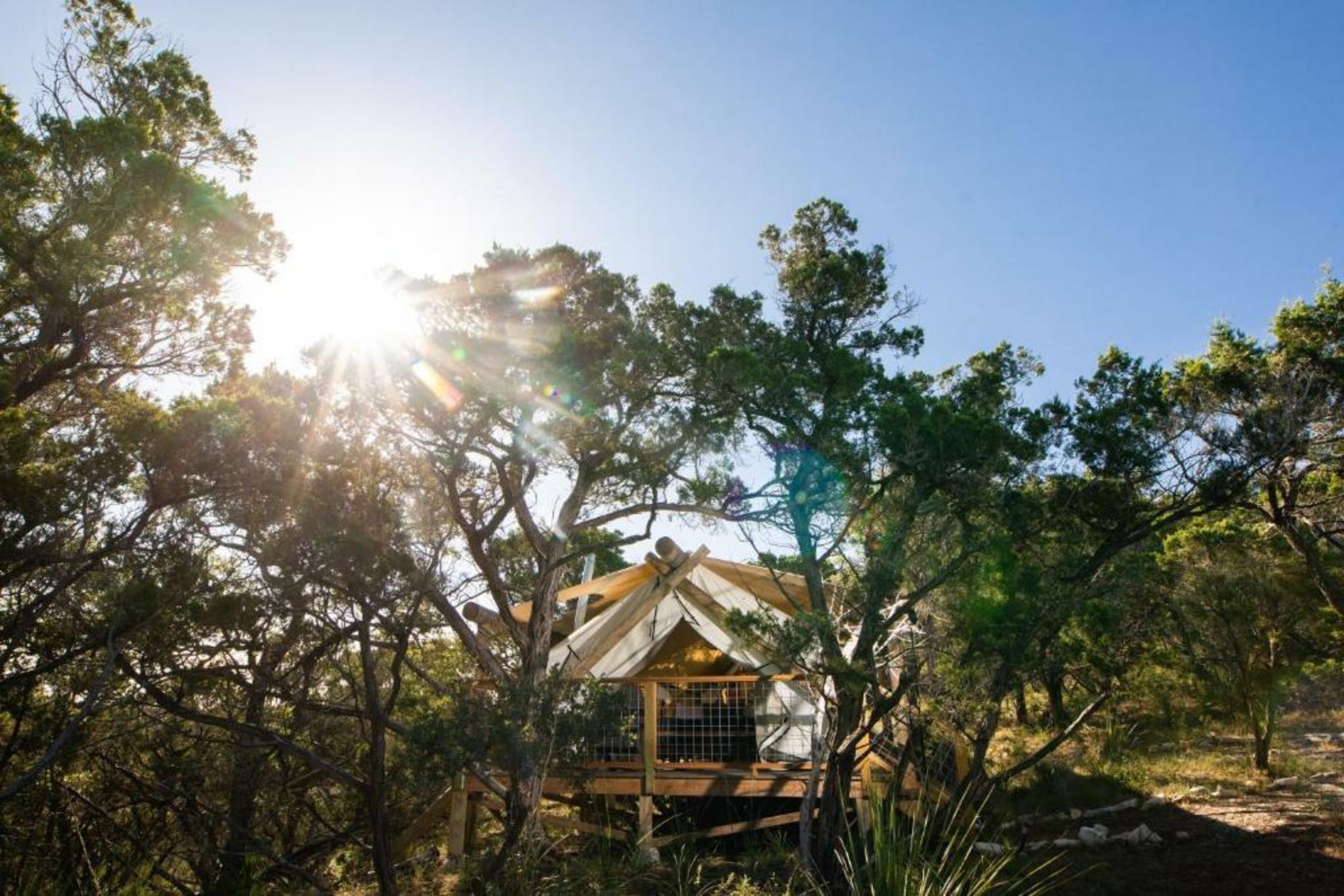 Collective Hill Country