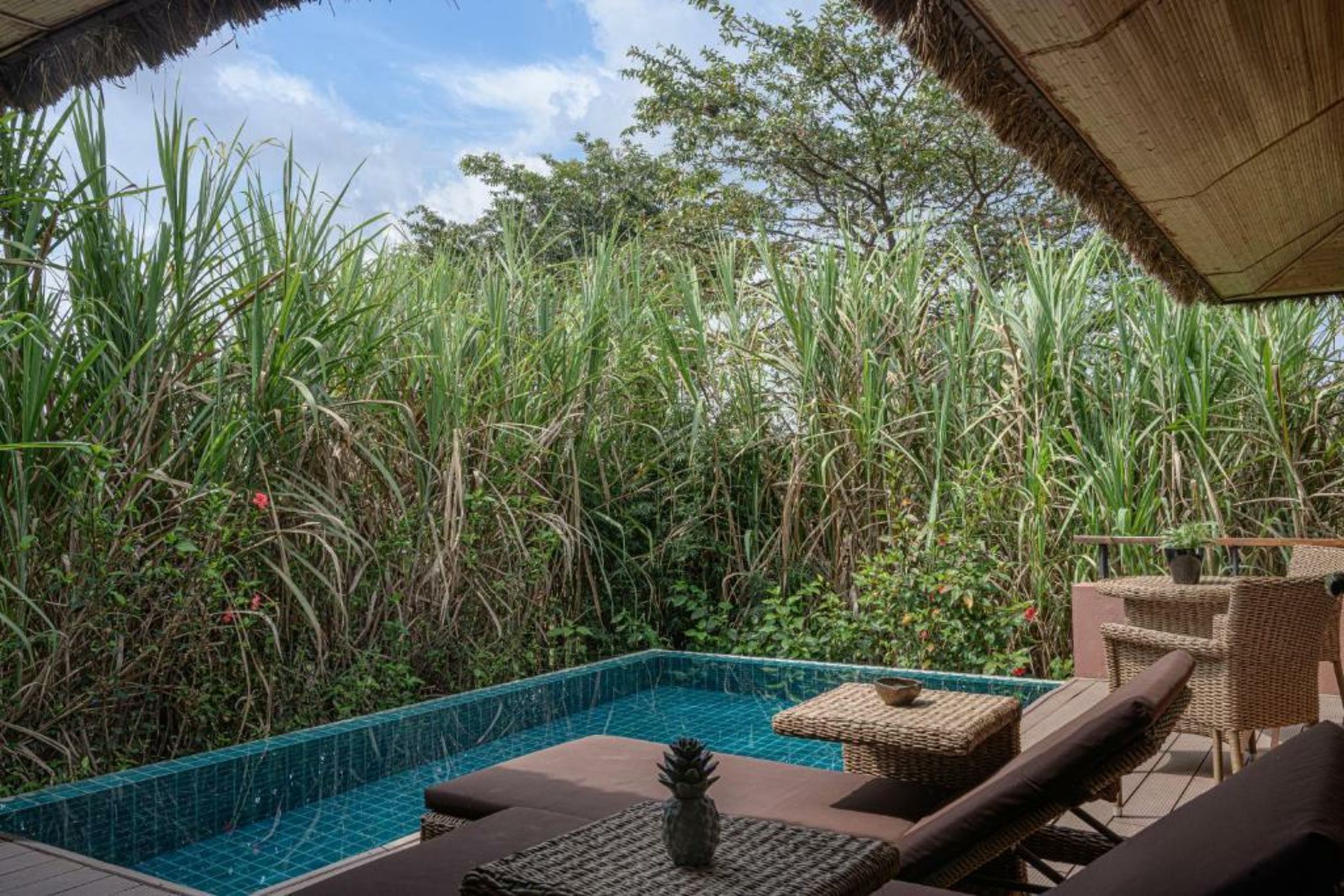 Water Garden Sigiriya