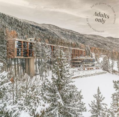My Arbor - Dolomites