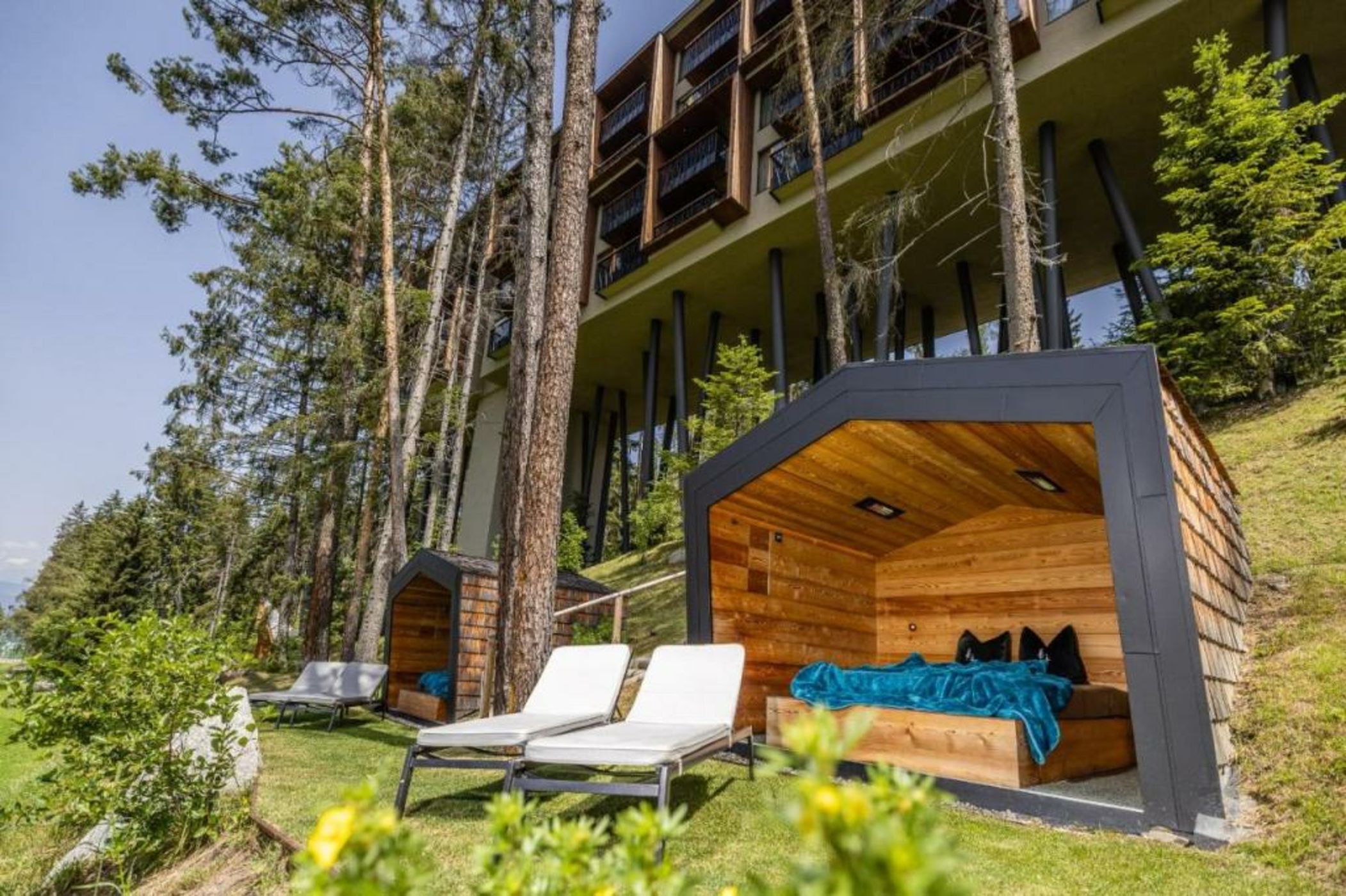 My Arbor - Dolomites