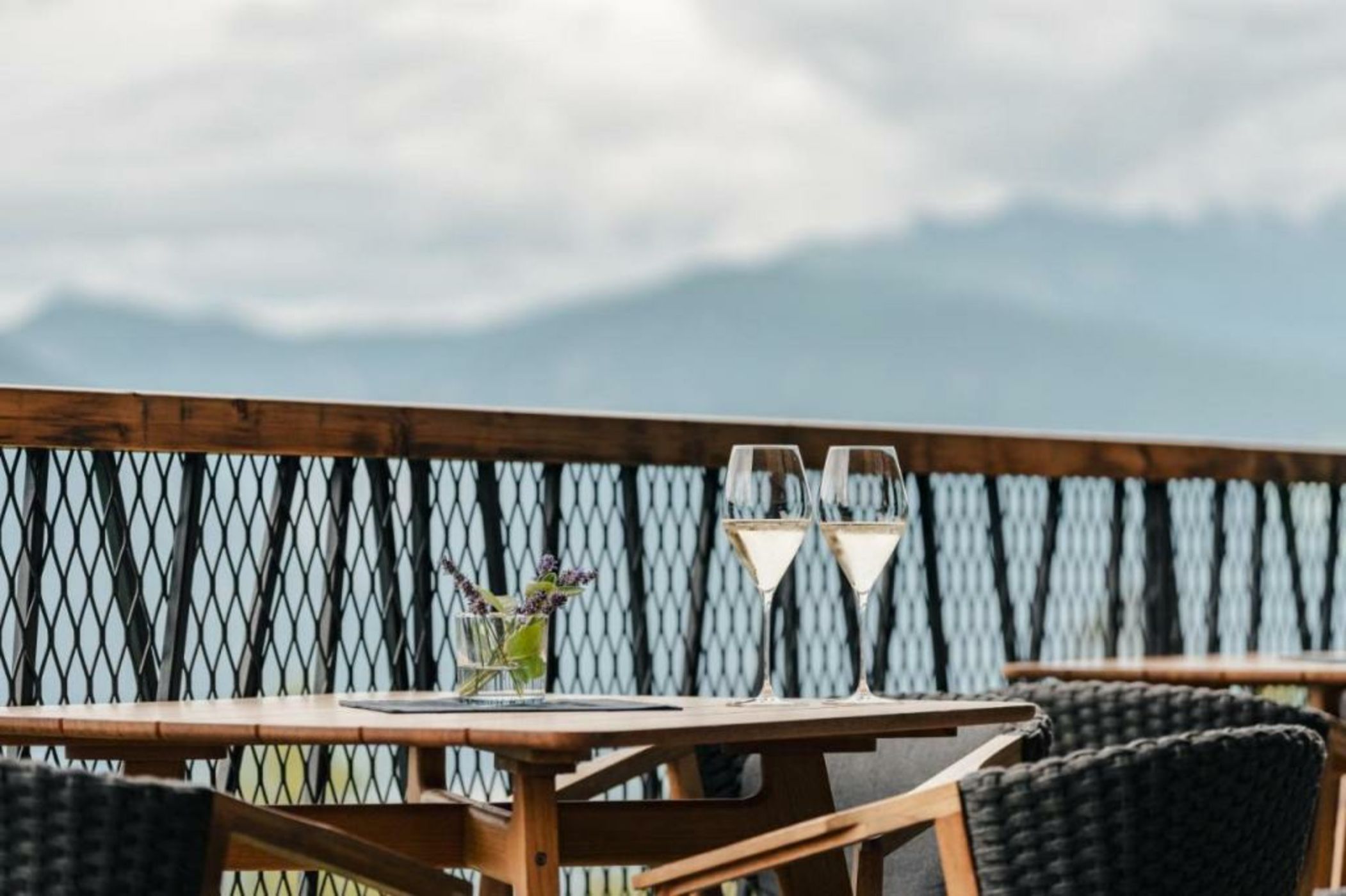 My Arbor - Dolomites