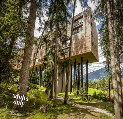 My Arbor - Dolomites