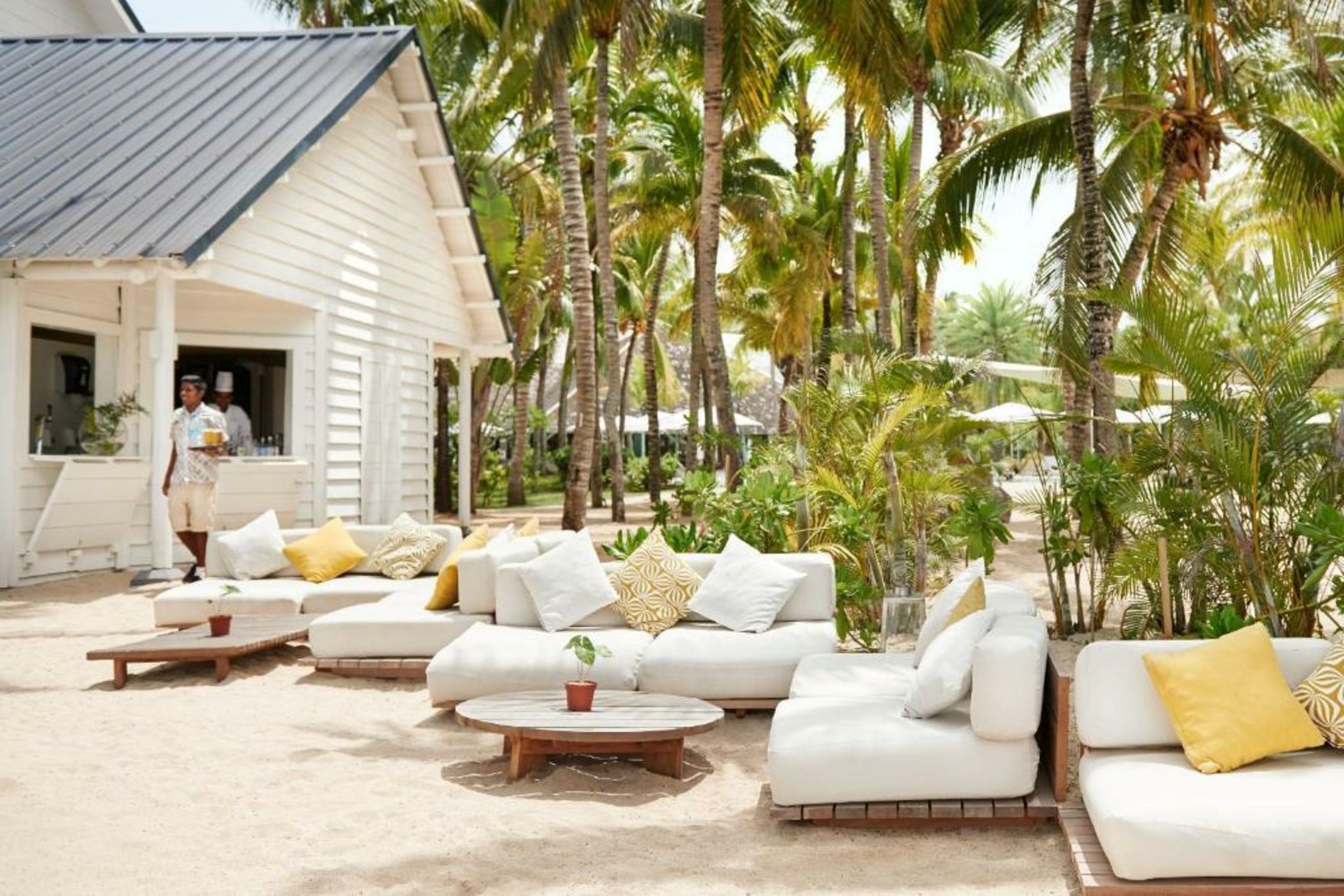 The Ravenala Attitude