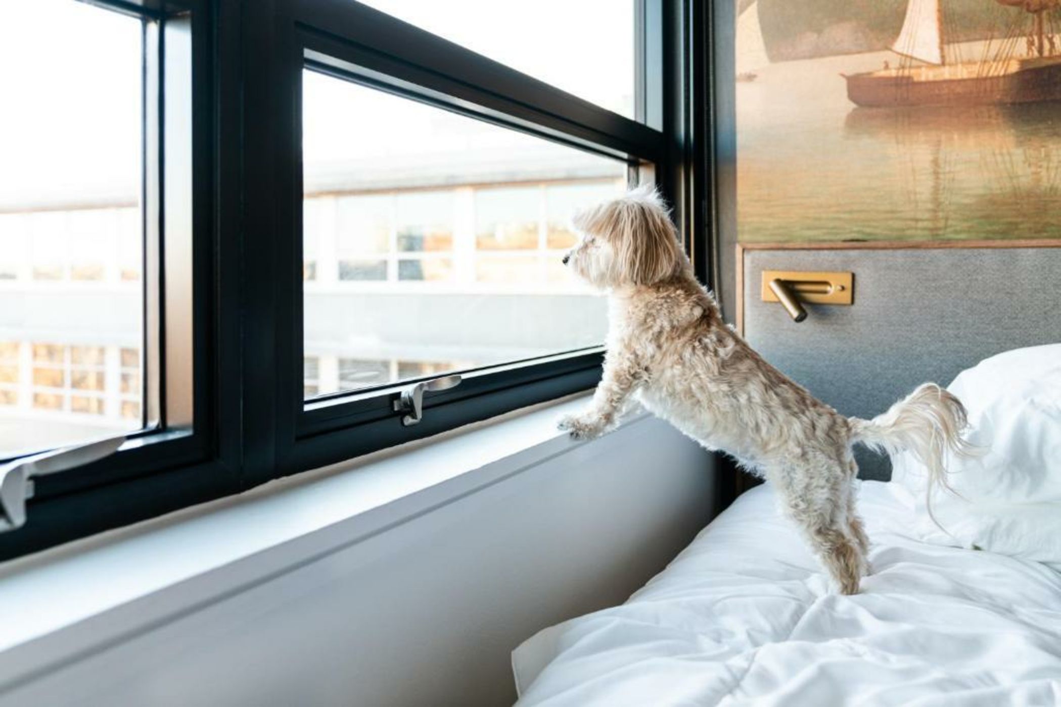 The Revolution Hotel