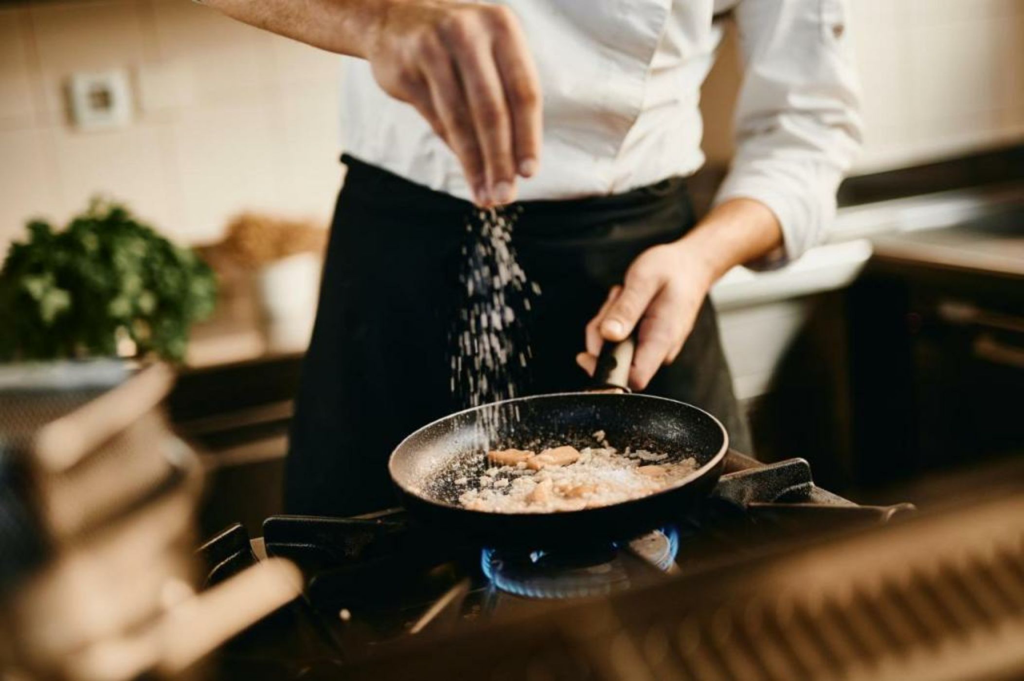 Hotel Maestoso - Lipica