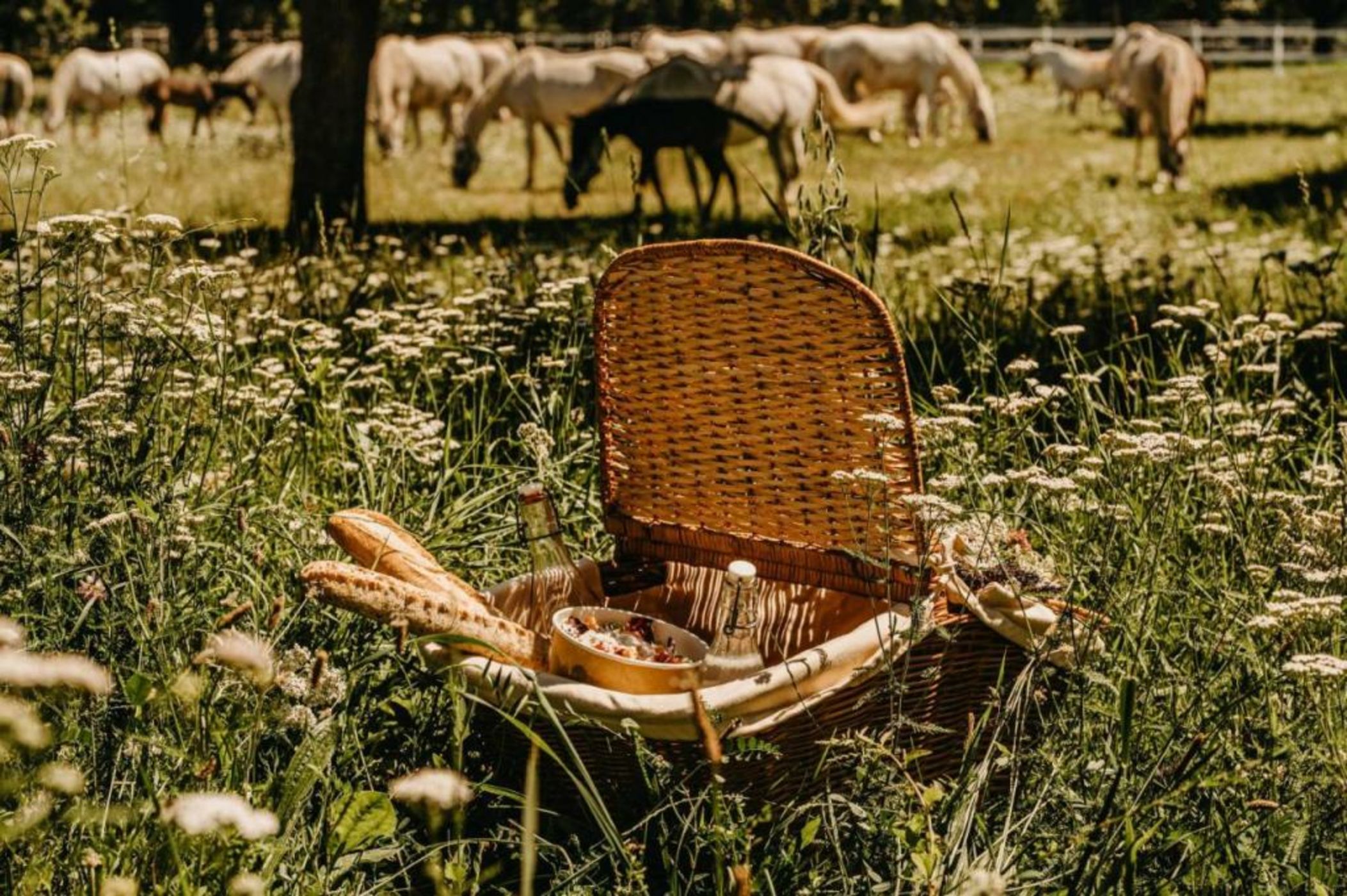 Hotel Maestoso - Lipica