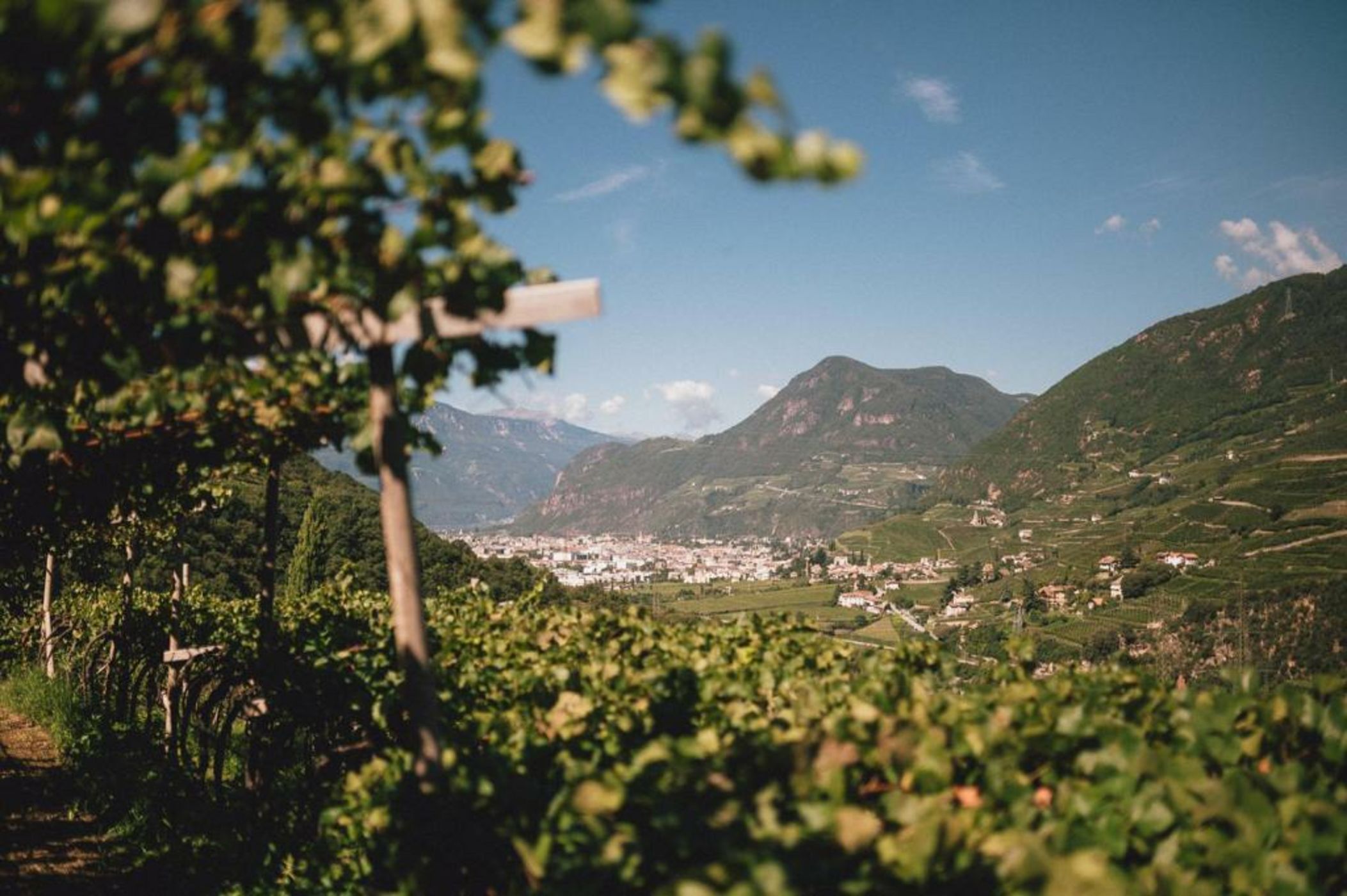 Pitzner - Winery & Suites