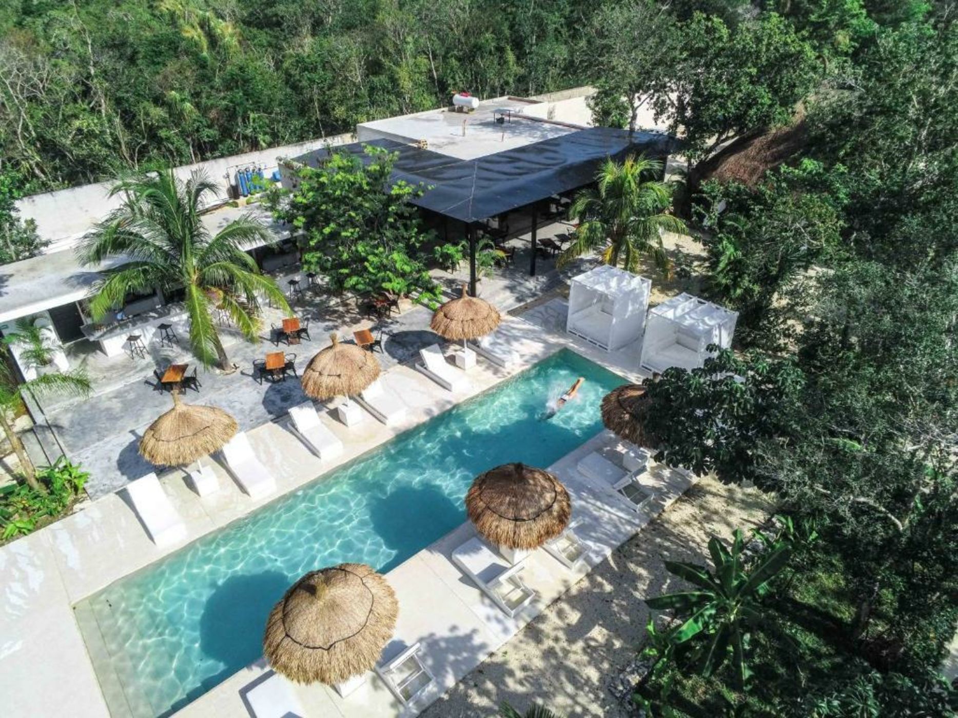 Jungle Lodge Boutique Hotel