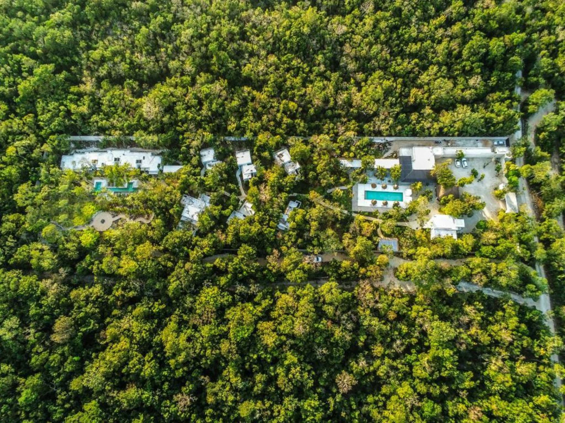 Jungle Lodge Boutique Hotel