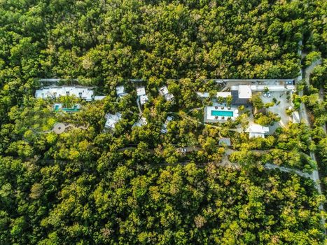 Jungle Lodge Boutique Hotel