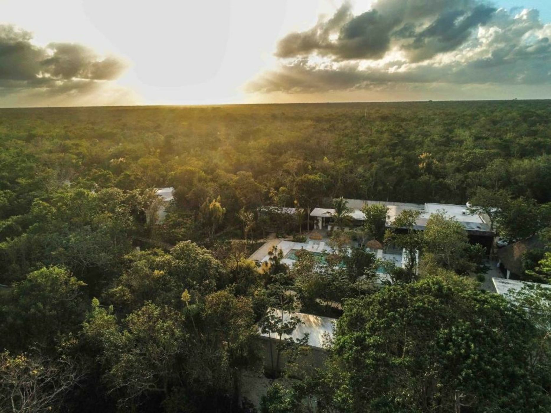 Jungle Lodge Boutique Hotel