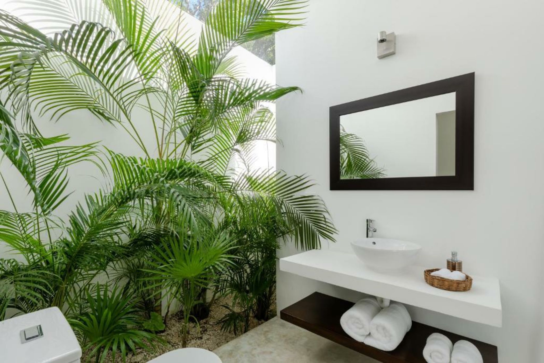 Jungle Lodge Boutique Hotel