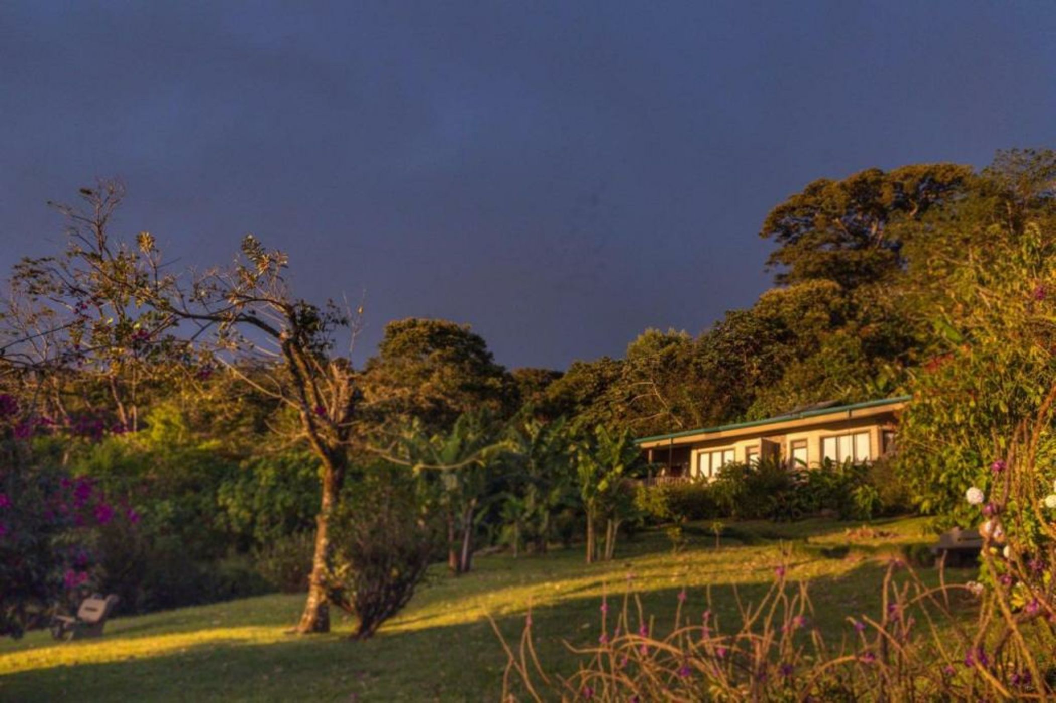 Senda Monteverde Hotel