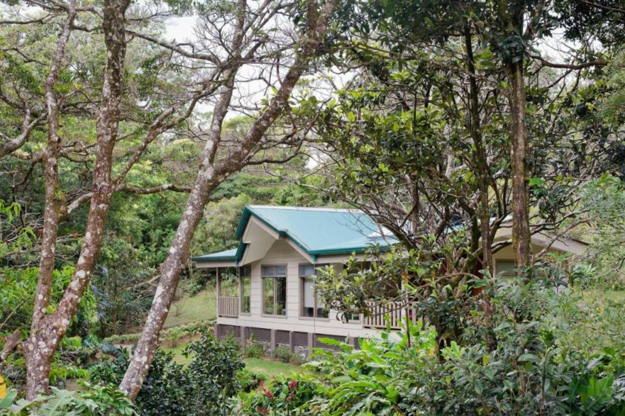 Senda Monteverde Hotel