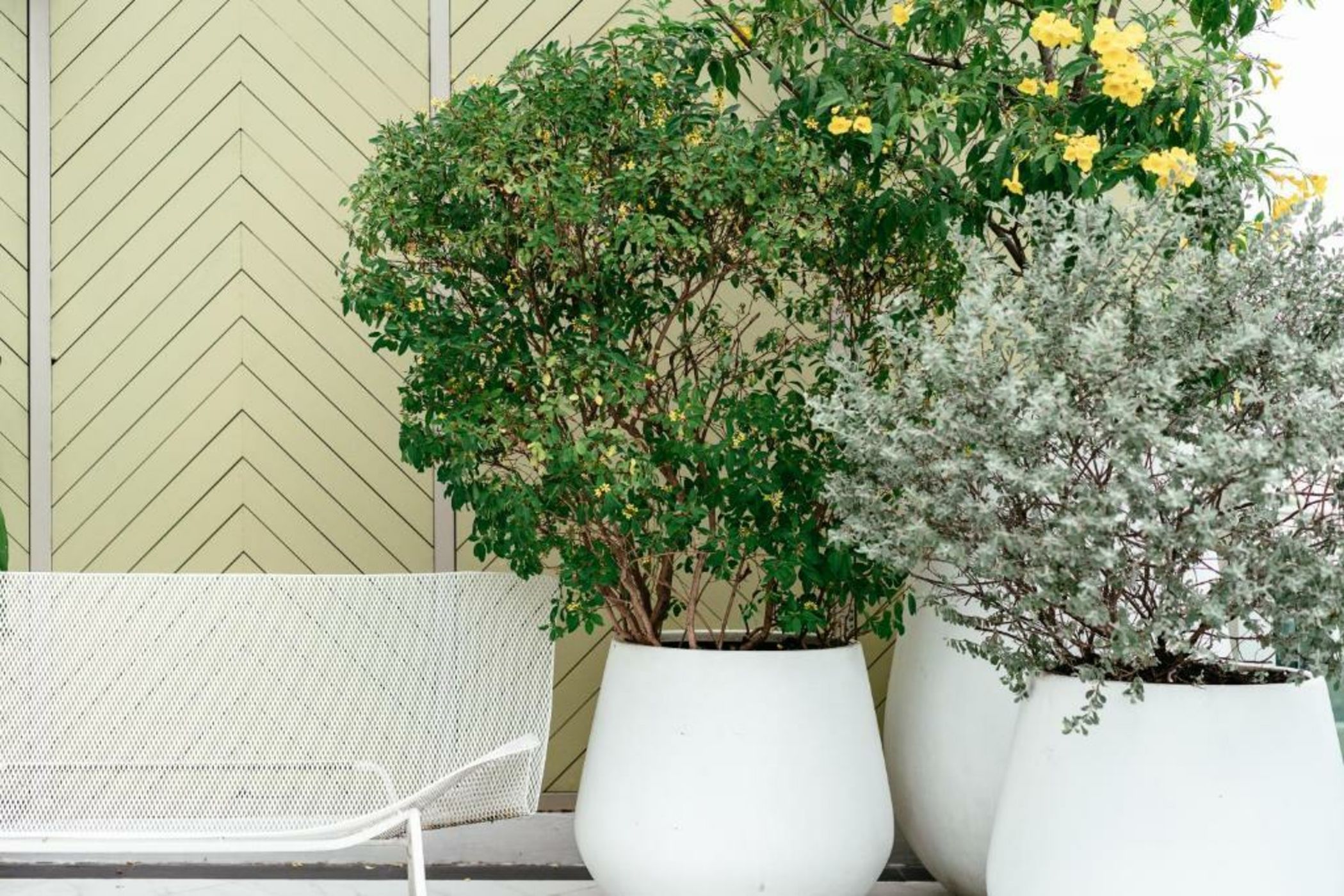 Akyra Thonglor Bangkok - SHA Extra Plus