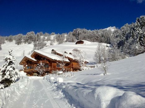 Chalet La Vigogne et Spa
