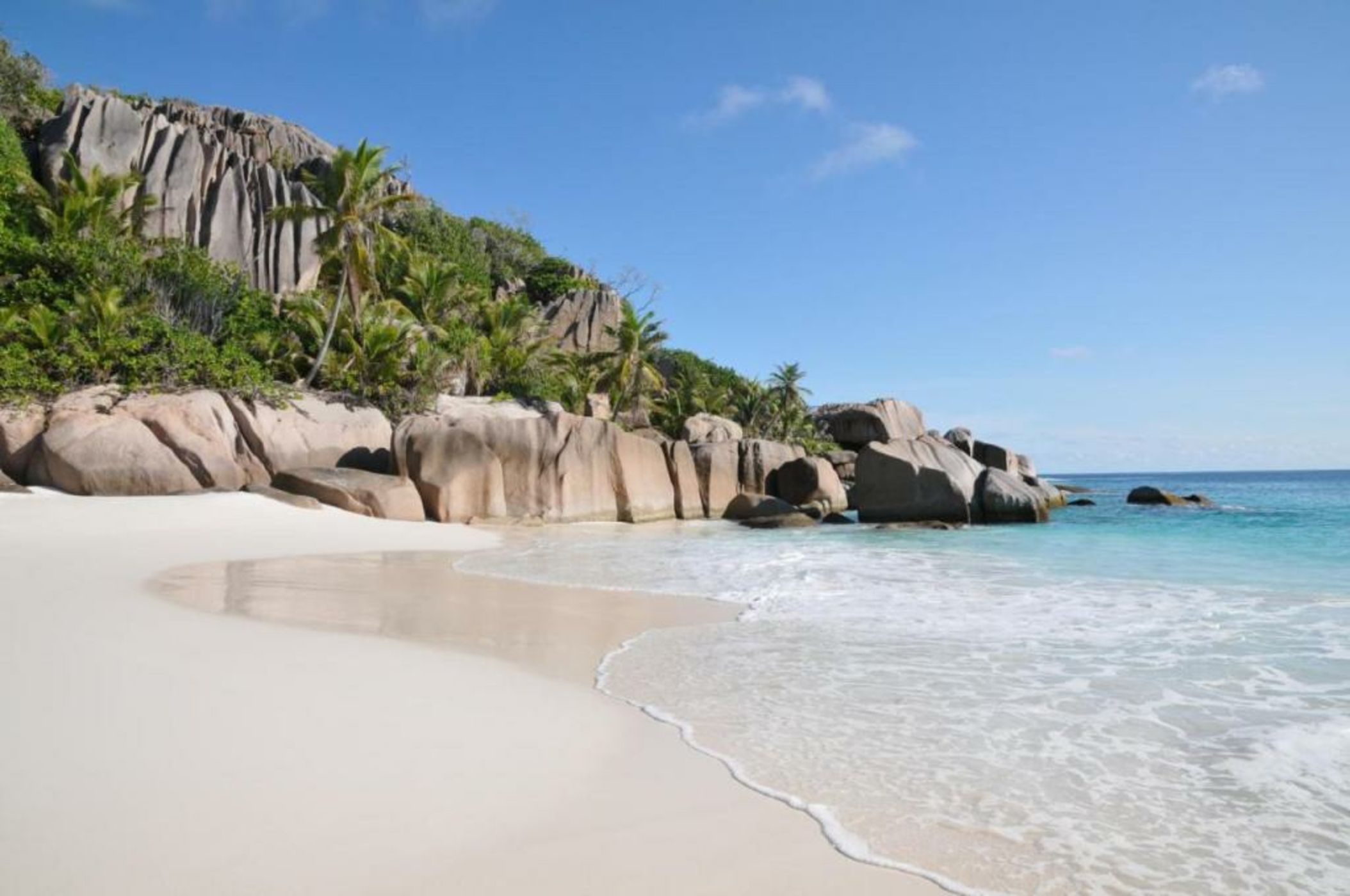 Le Château de feuilles