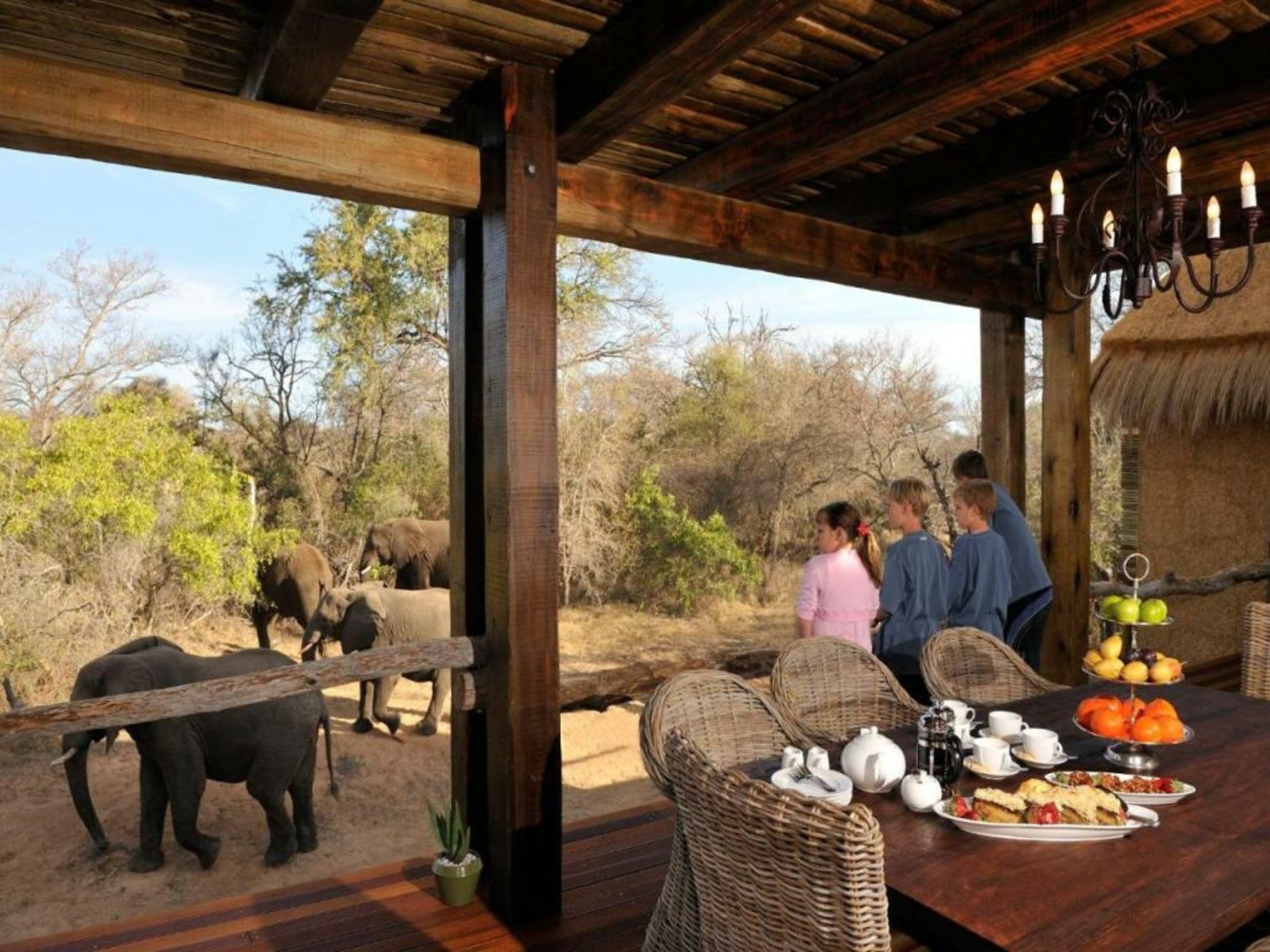 Jabulani Safari