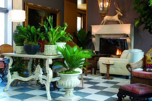 The Ivy Hotel