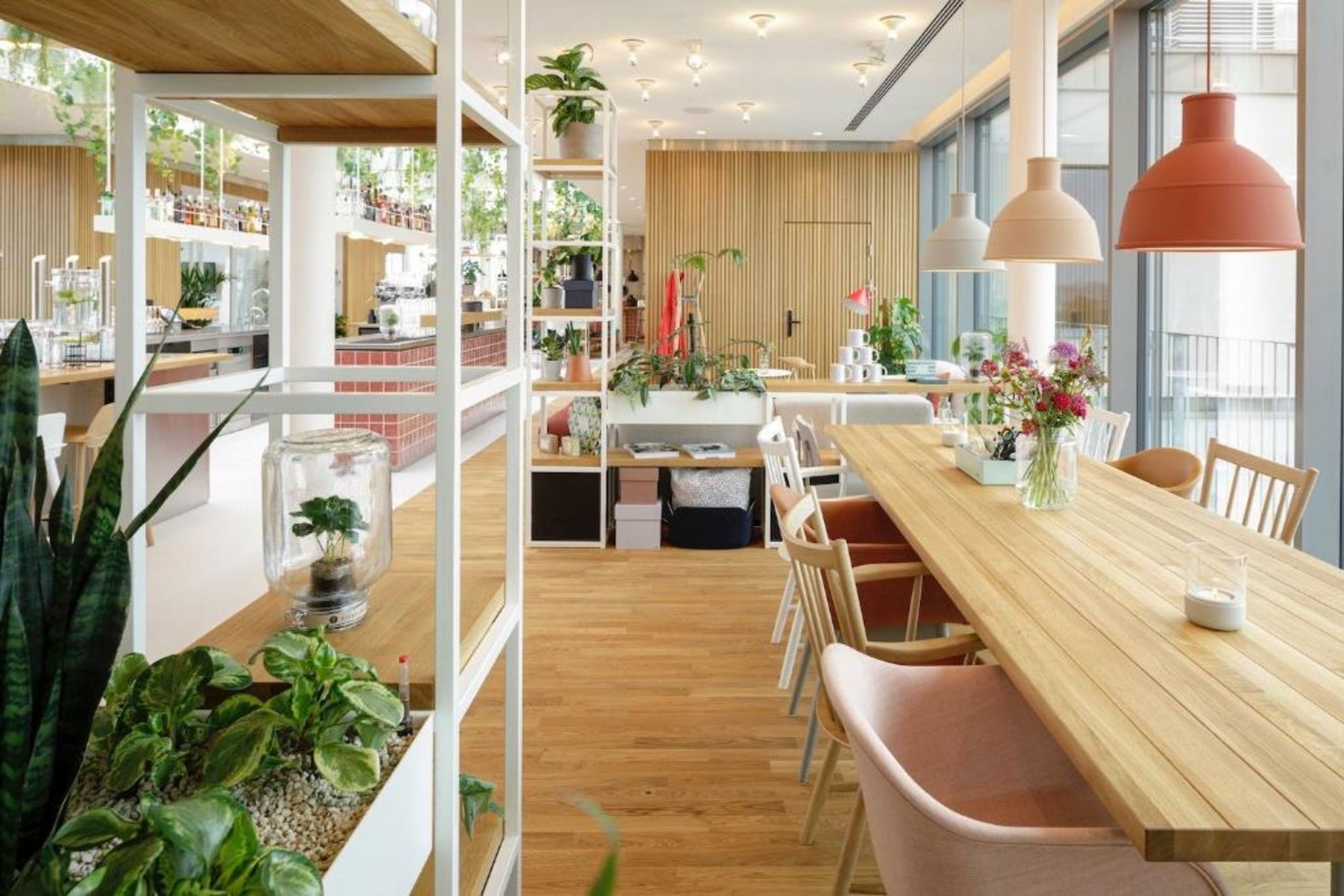 Zoku Vienna