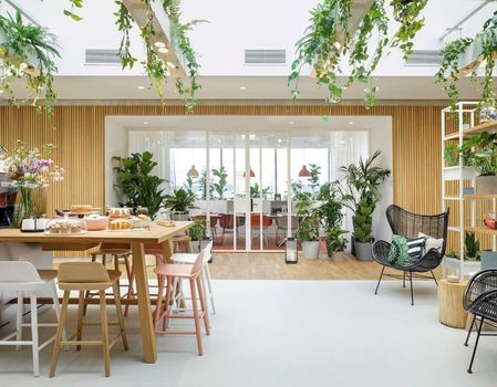 Zoku Vienna