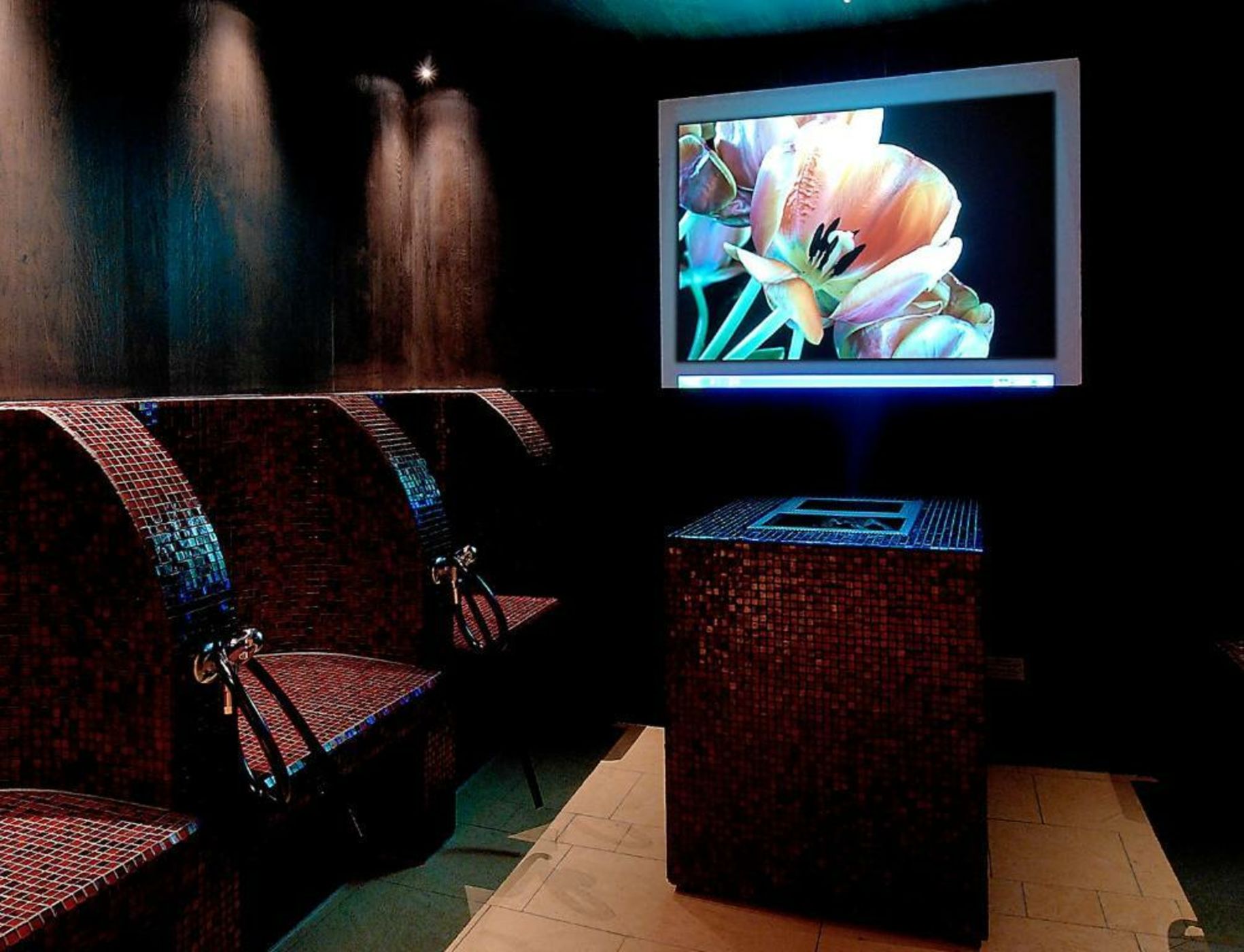 Hotel Spinne Grindelwald