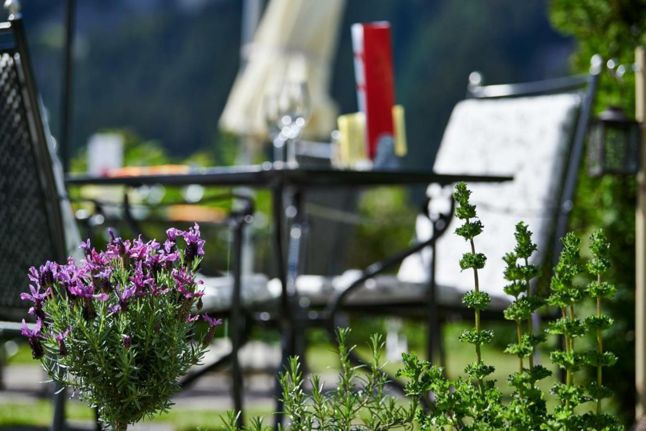 Hotel Spinne Grindelwald