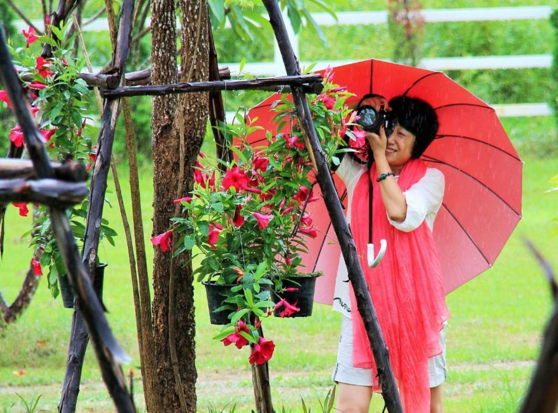 Family House Zen Boutique Resort