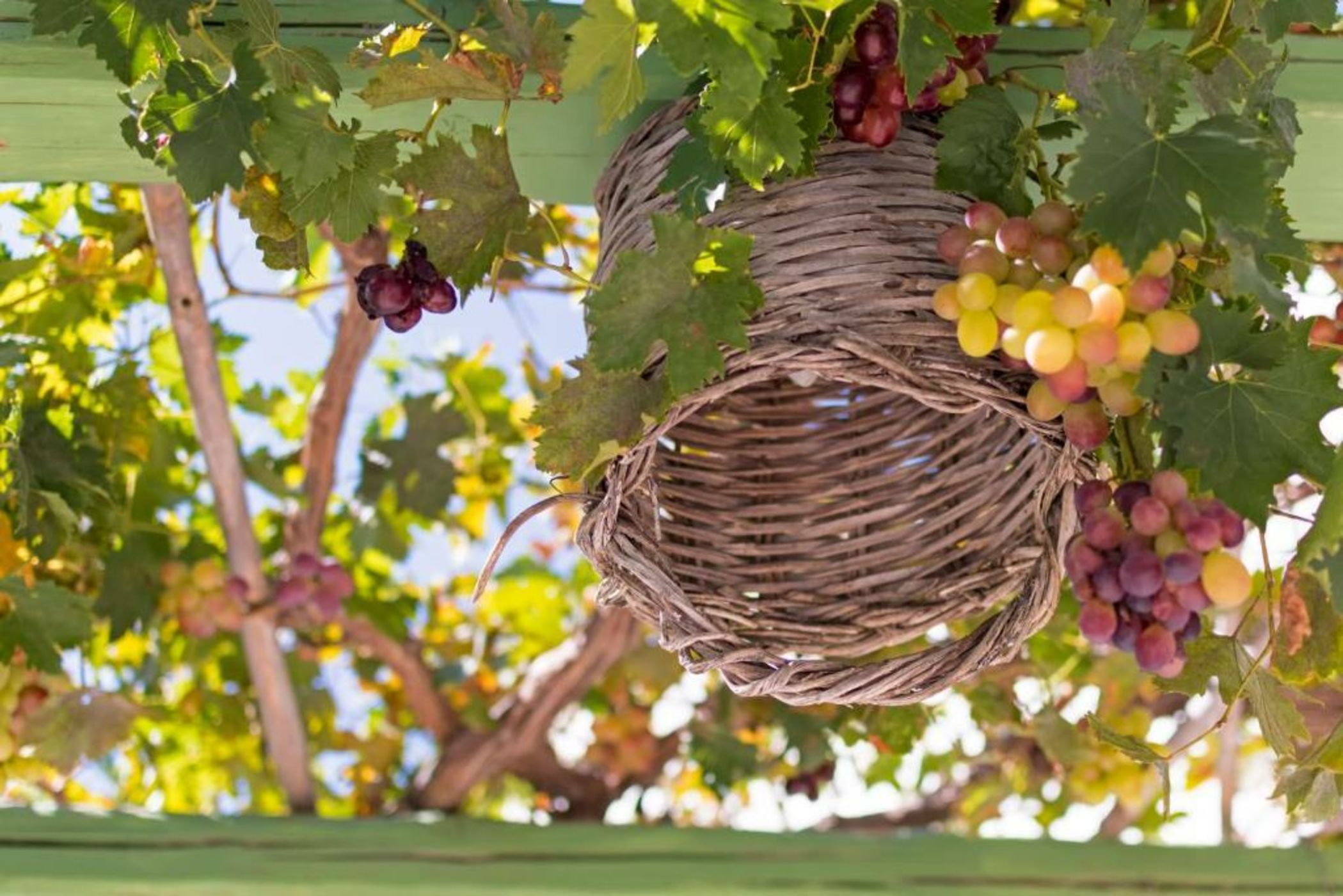 Kalderimi Traditional Houses