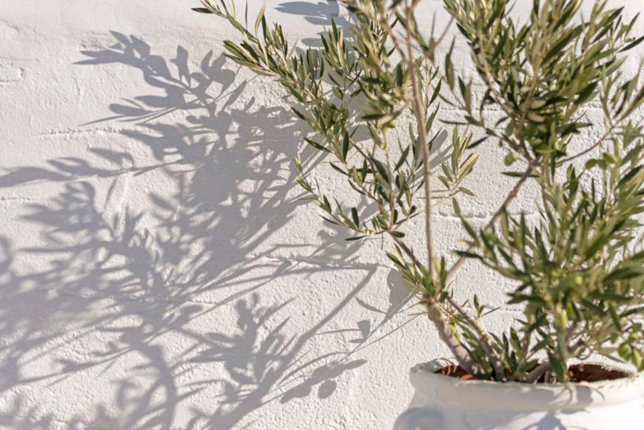 Kalderimi Traditional Houses