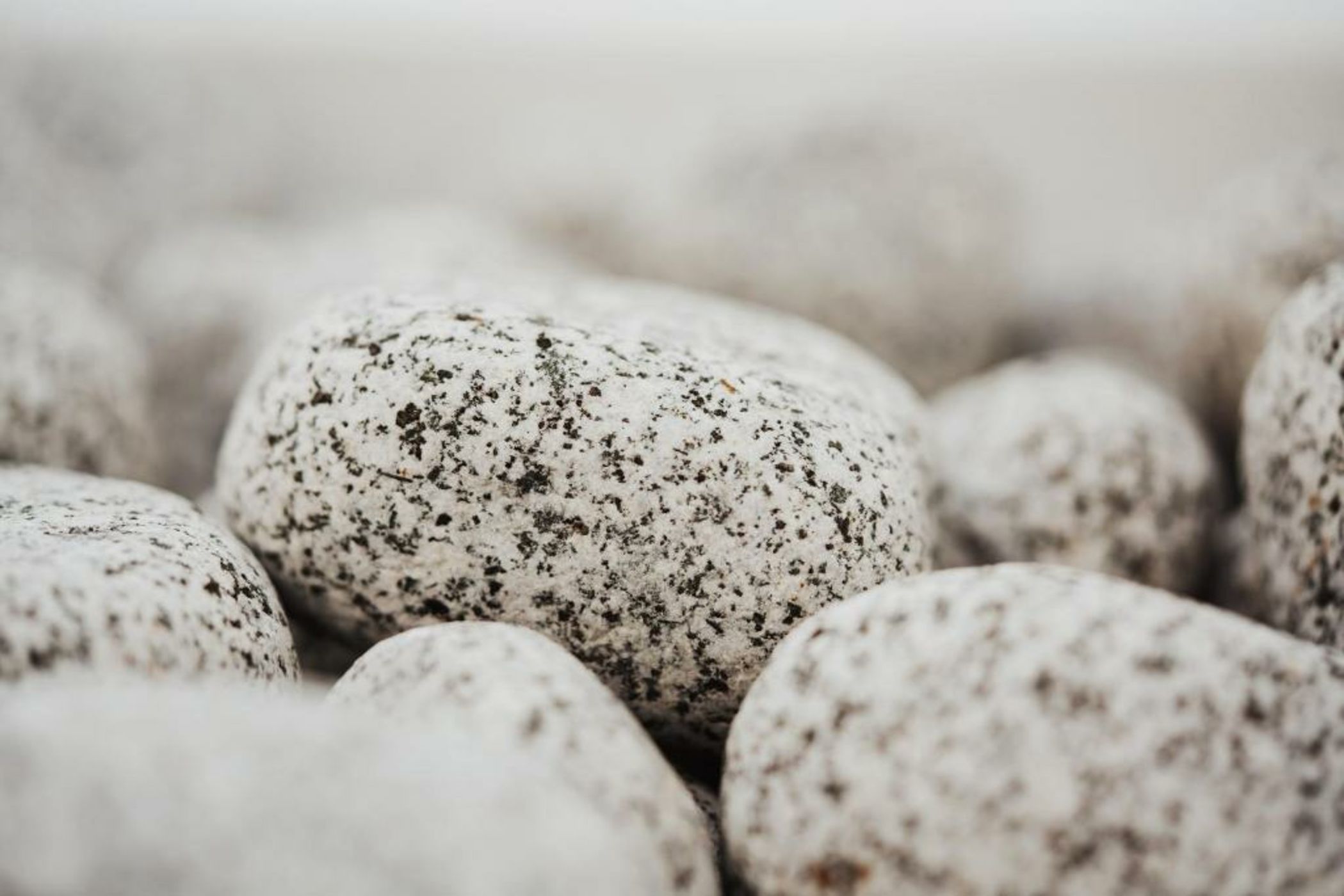 Andromeda Residences