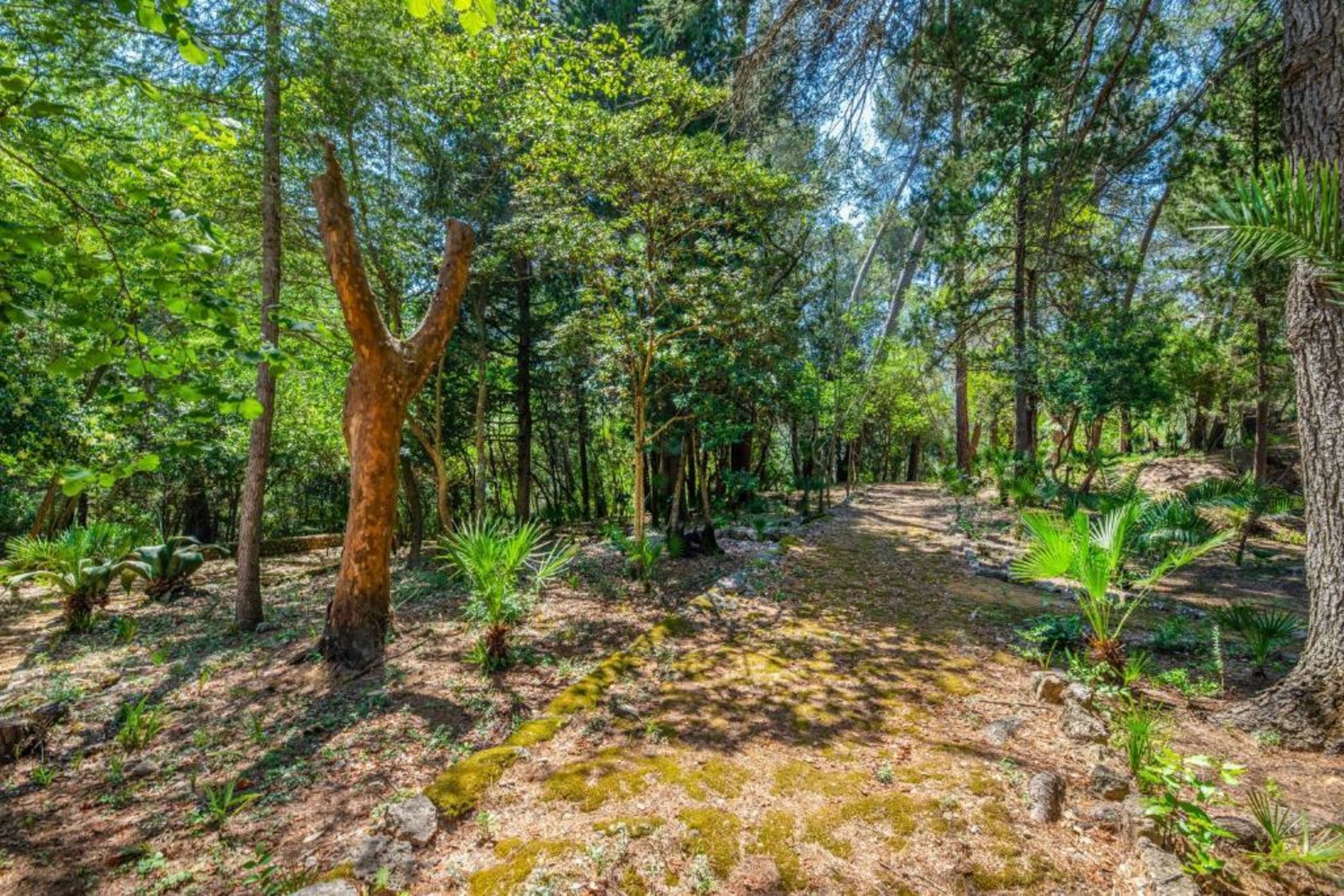 Son Grua Agroturismo de Lujo