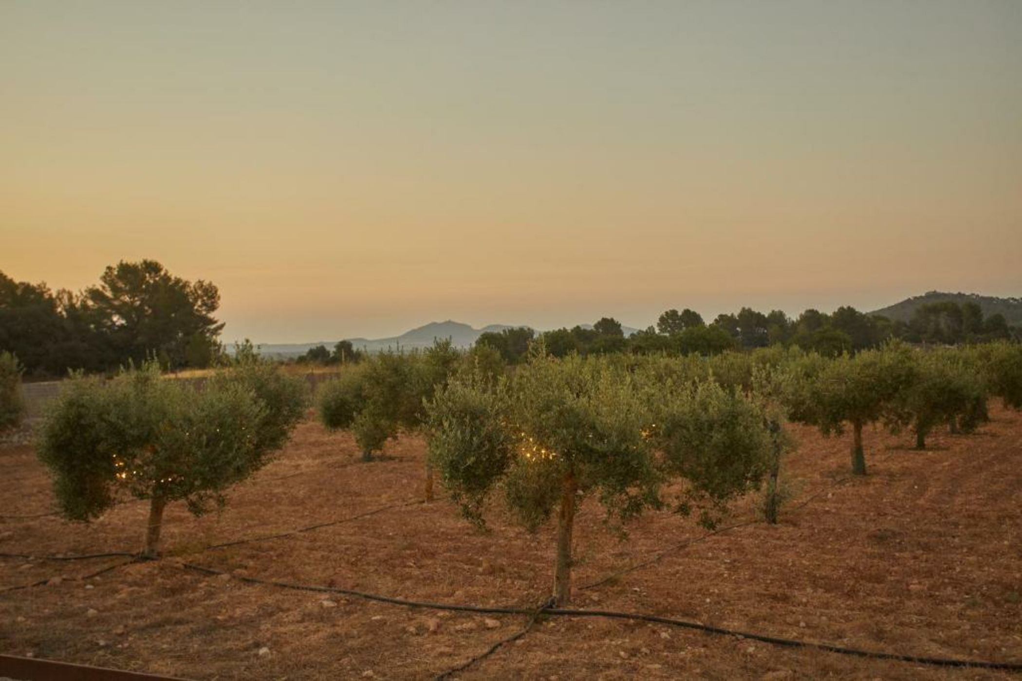 Es Riquers Hotel Rural