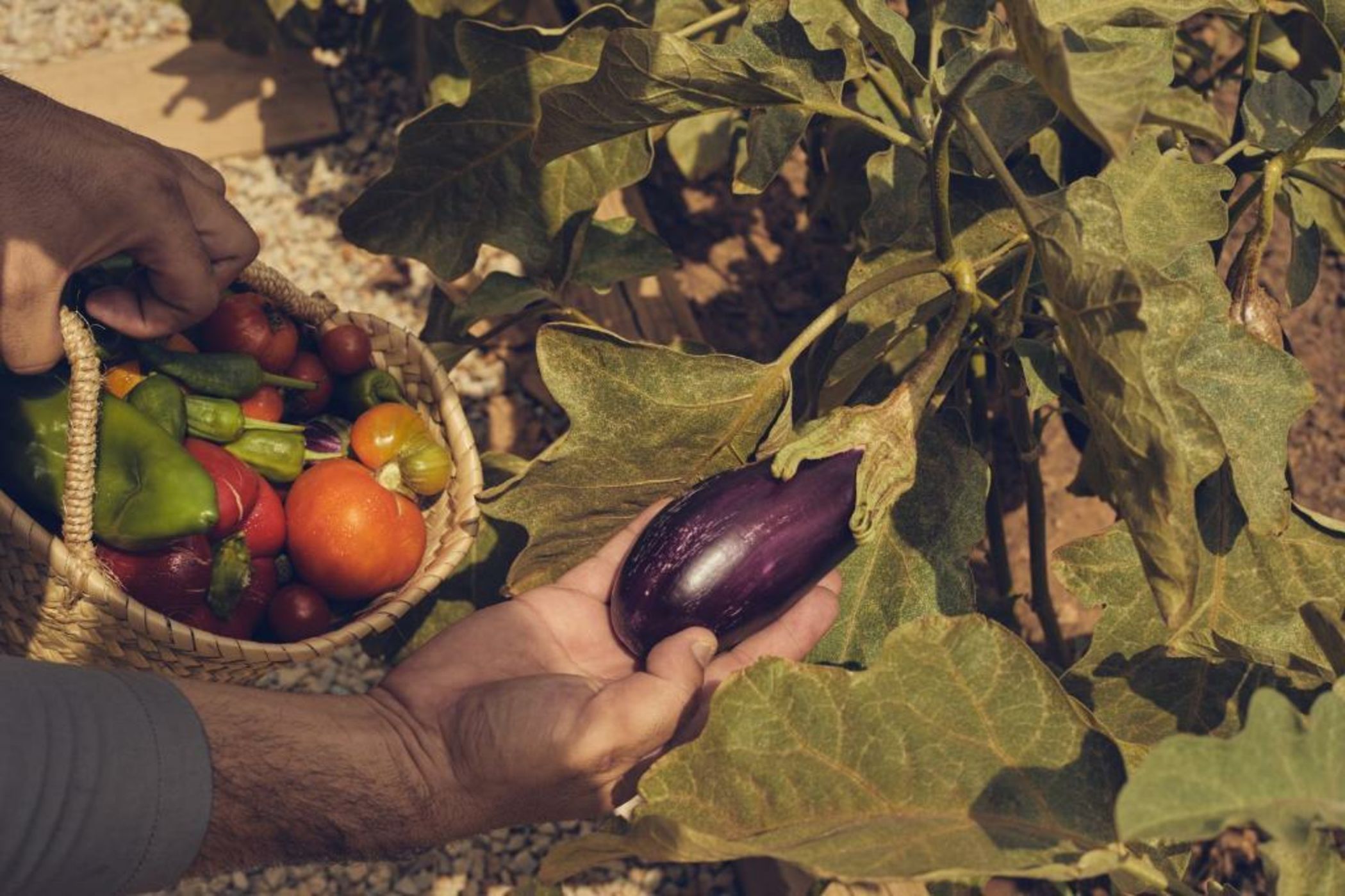 Es Riquers Hotel Rural