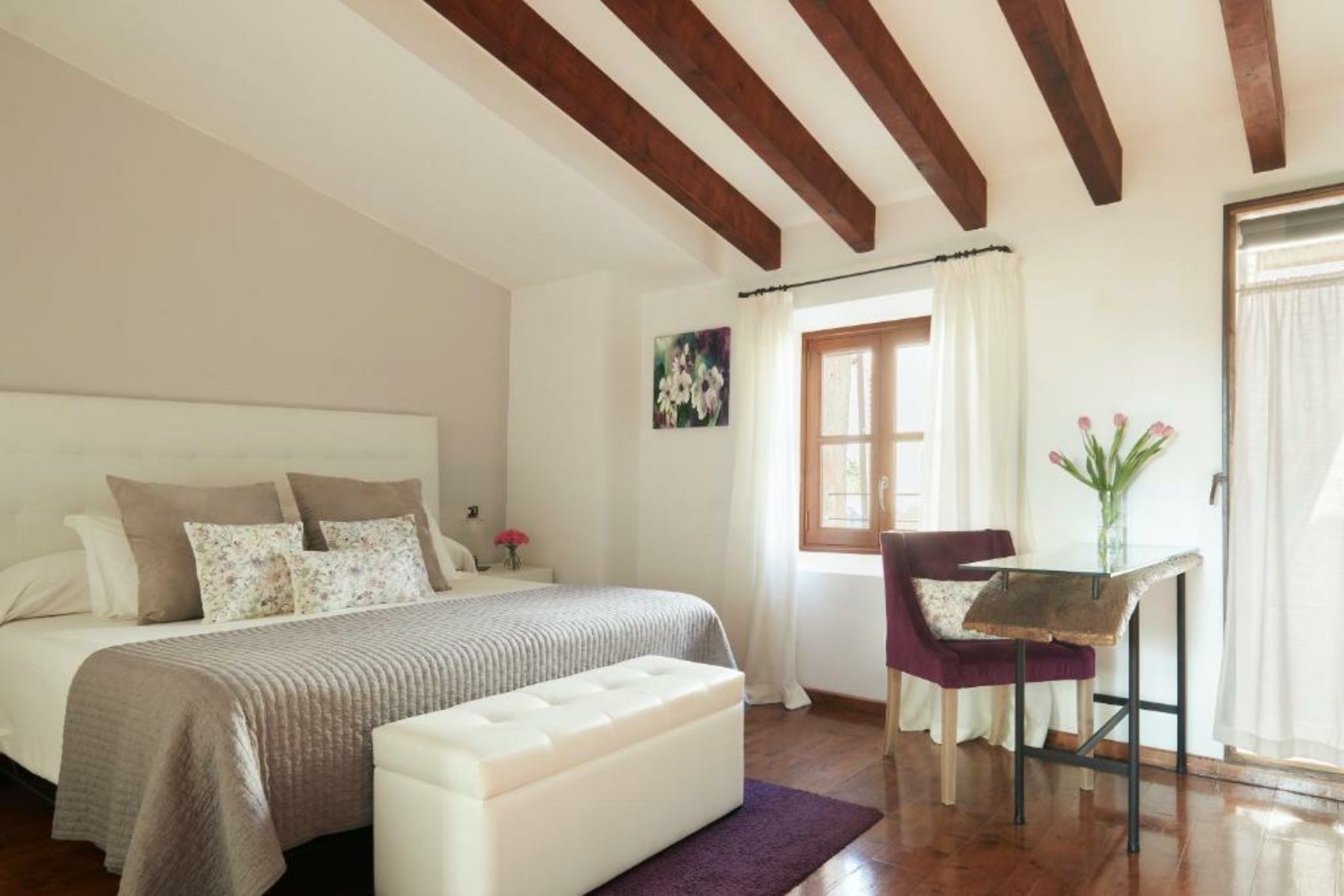 Can Joan Capo - Adults Only