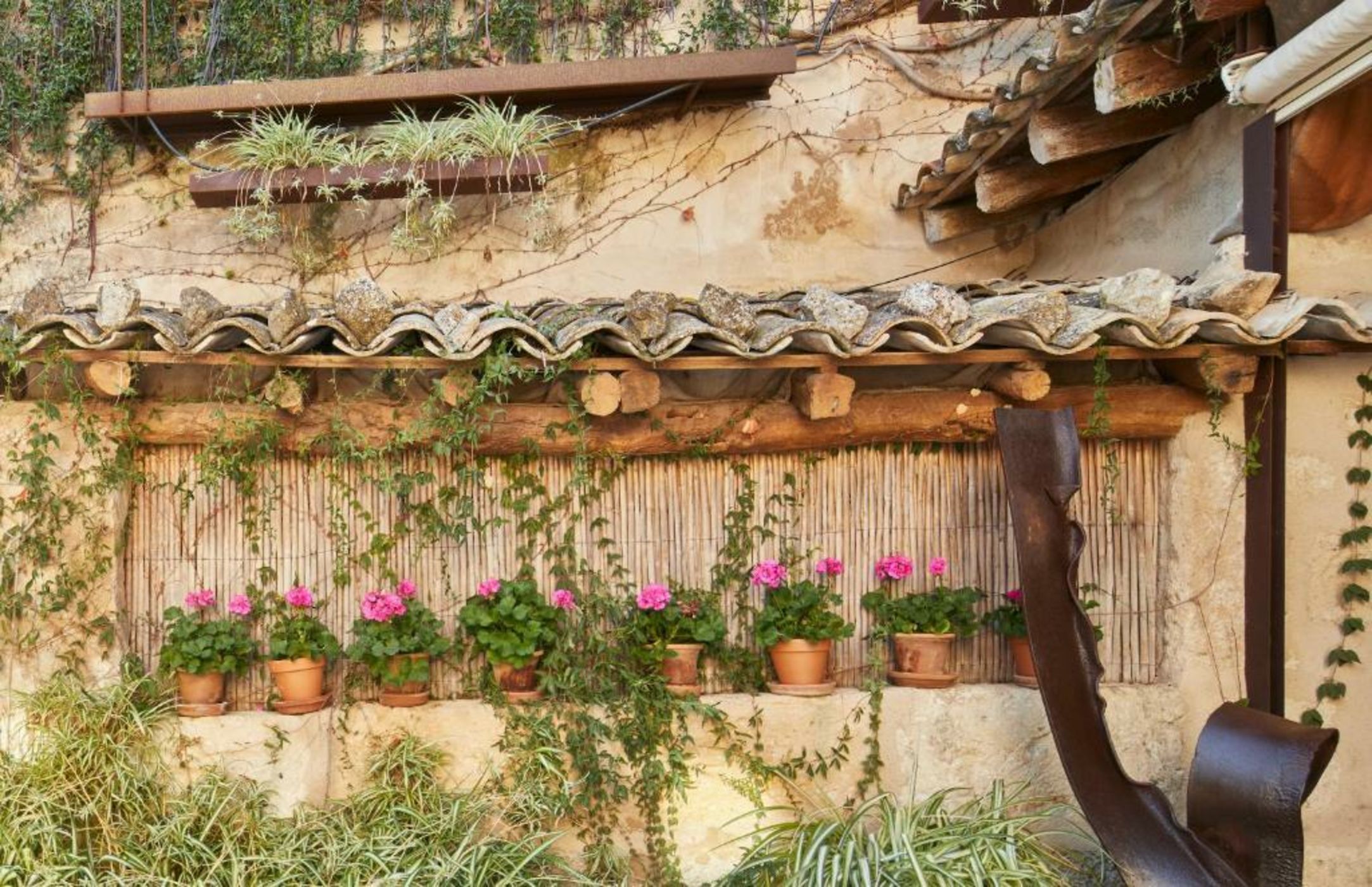 Can Joan Capo - Adults Only